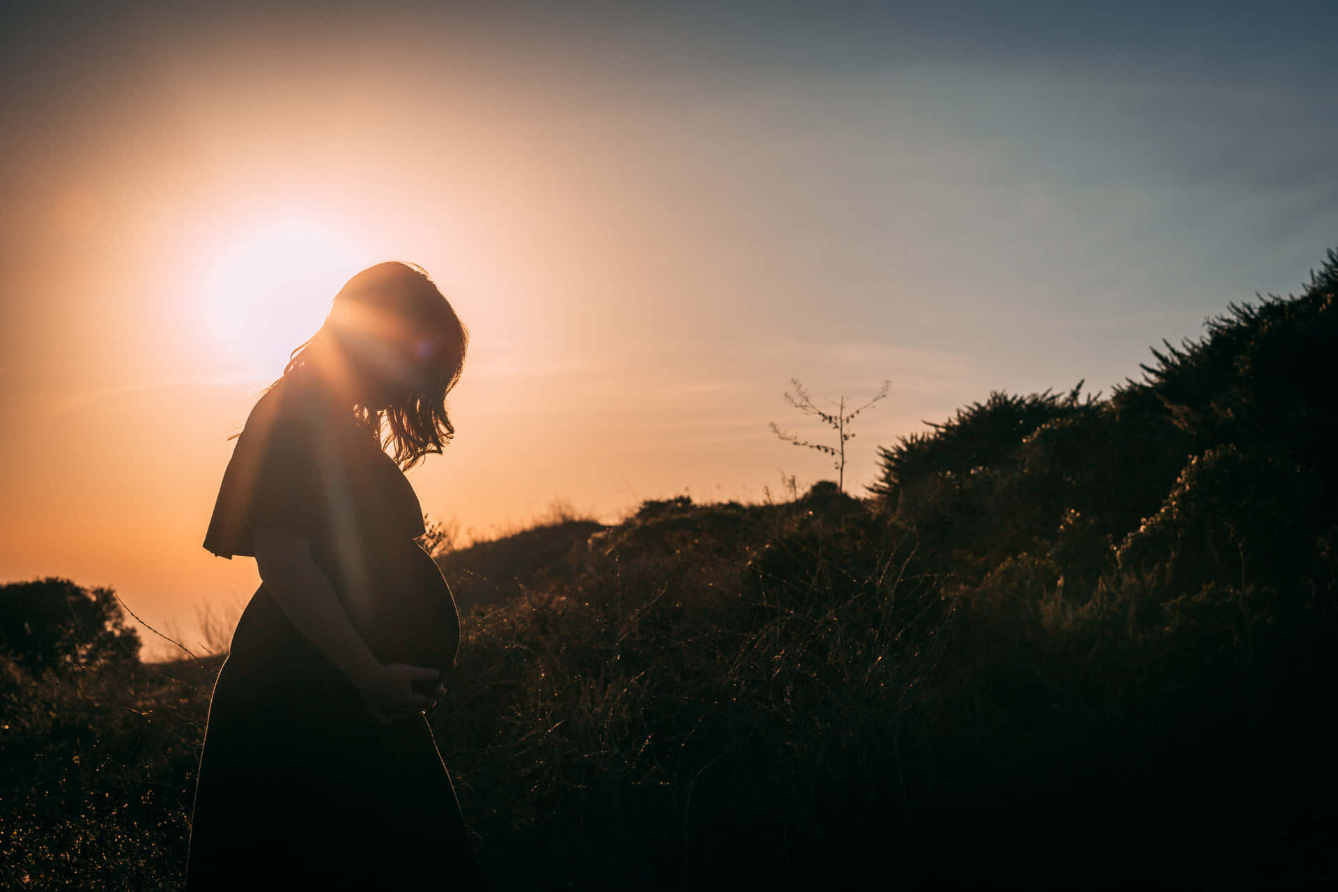 Pregnant Woman Glaring Sun Shot Background