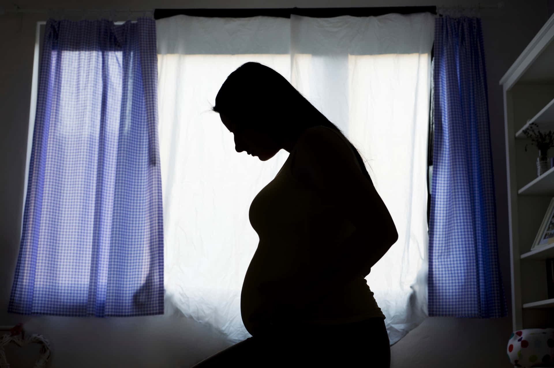 Pregnant Woman In Window Sunlight Background