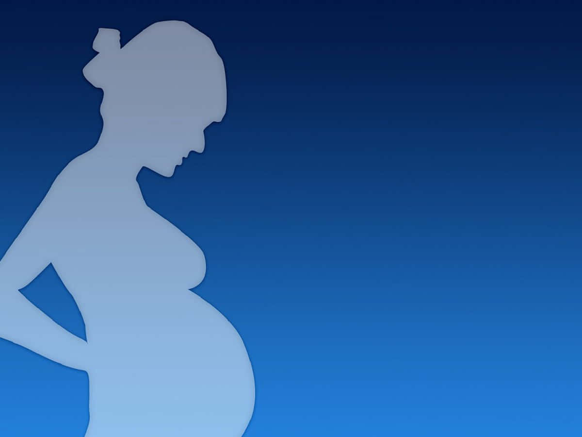 Pregnant Woman Outline Blue Digital Art