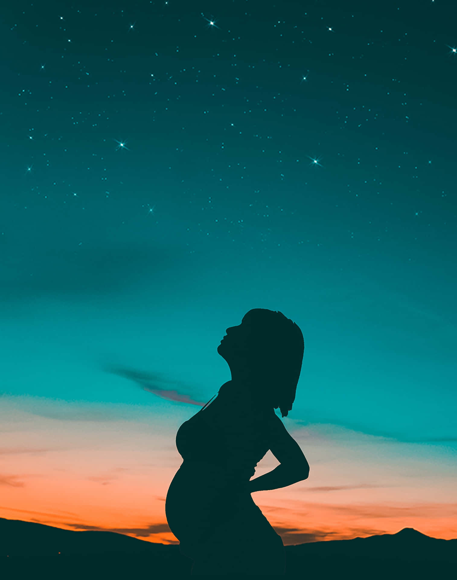 Pregnant Woman Silhouette In Twilight Background