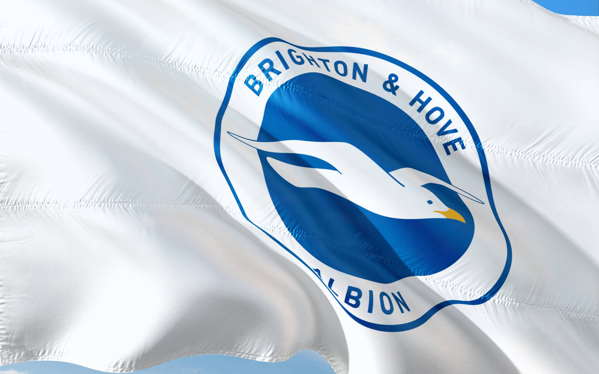 Premier League Brighton And Hove Albion Background