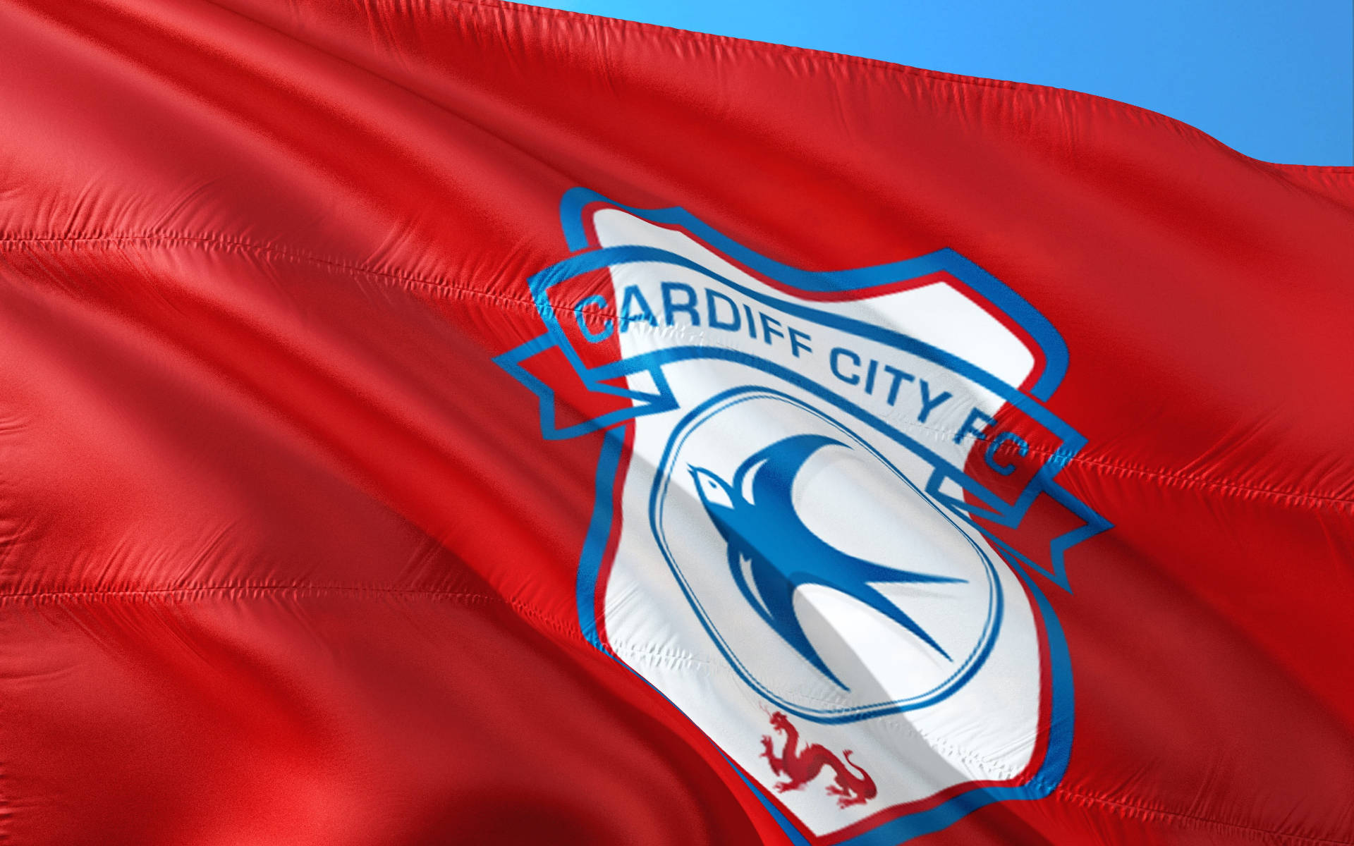 Premier League Cardiff City Flag Background