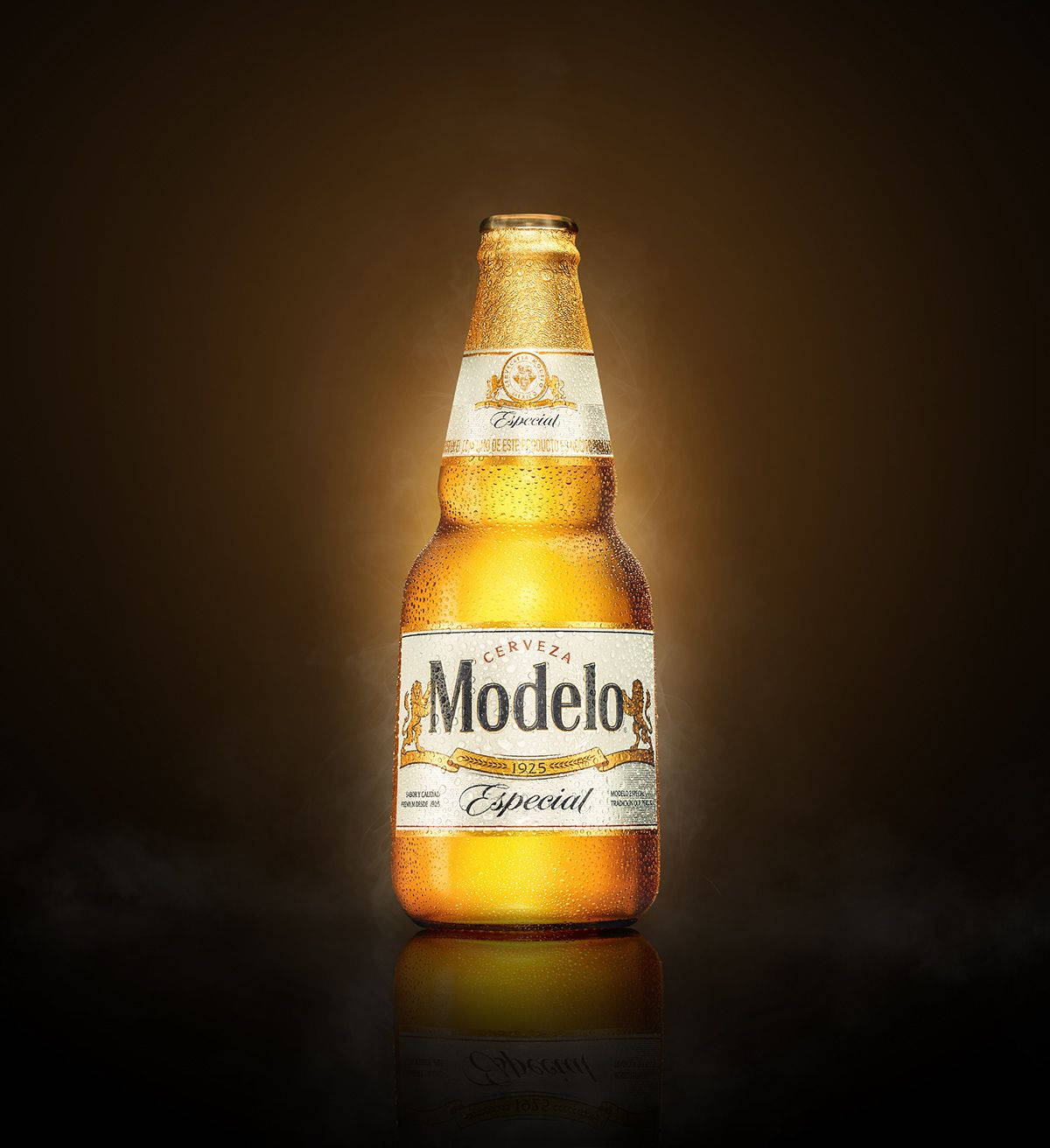 Premium Beer Modelo Especial Background