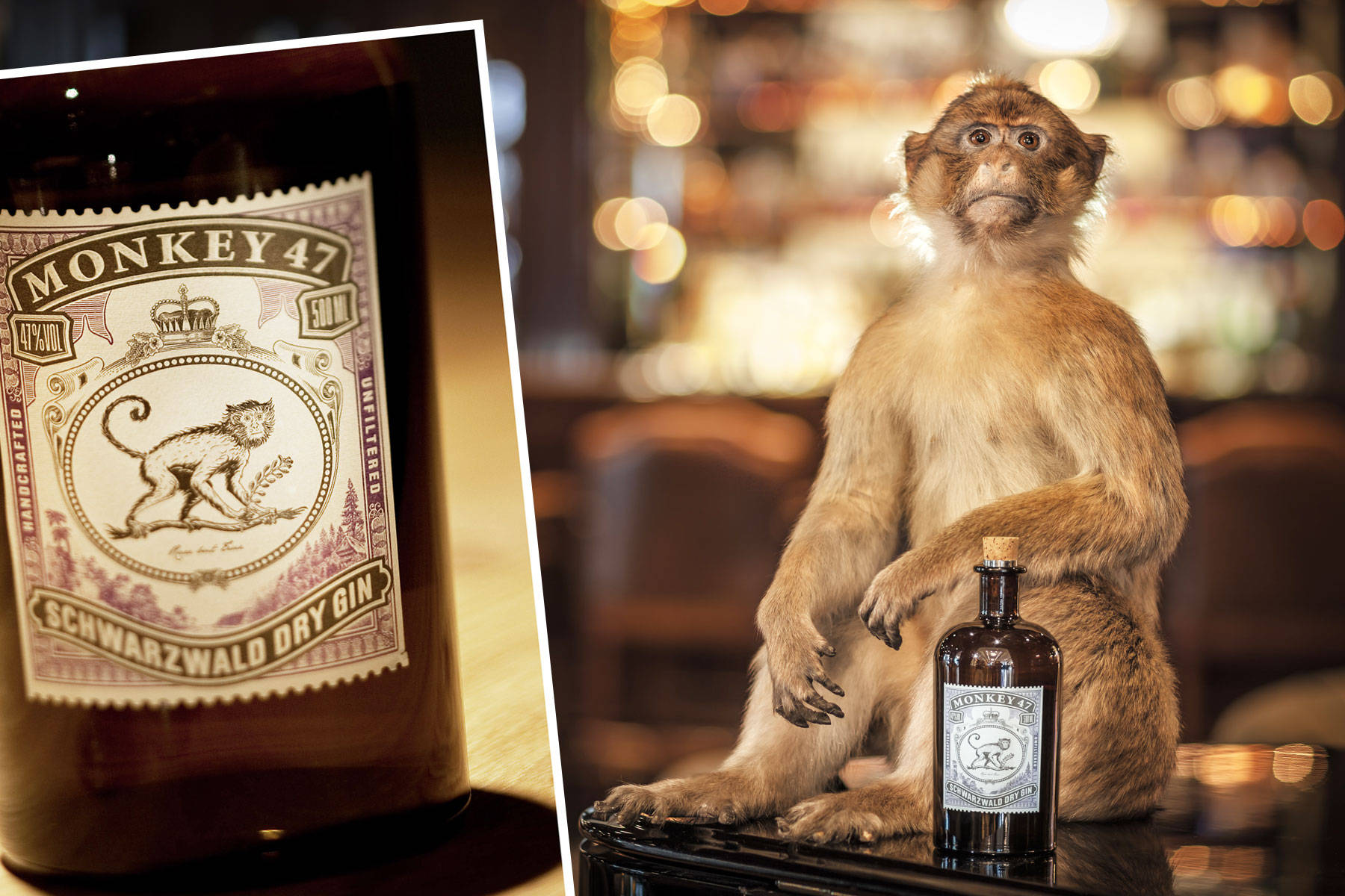 Premium German Monkey 47 Gin Schwarzwald Dry Background