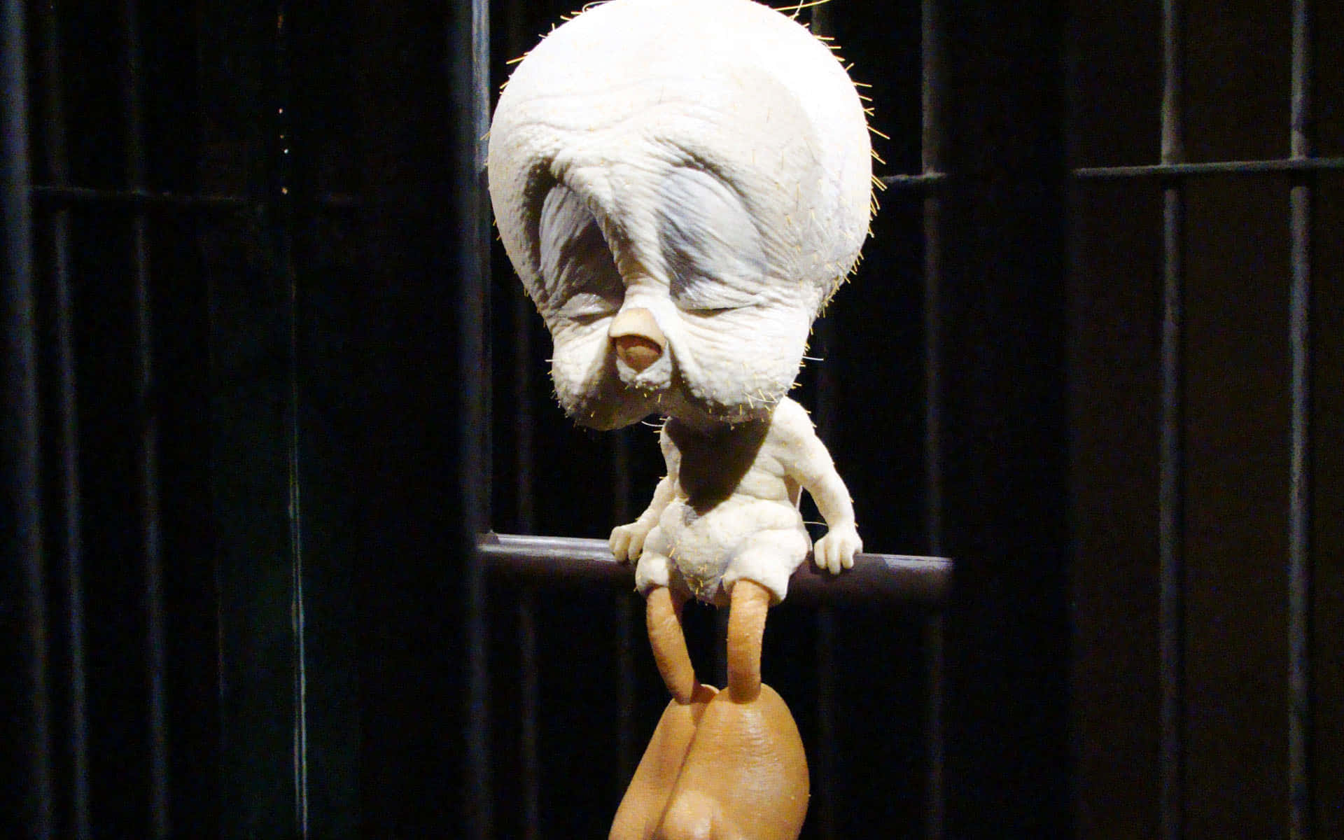 Preposterous Hairless Tweety Bird Background