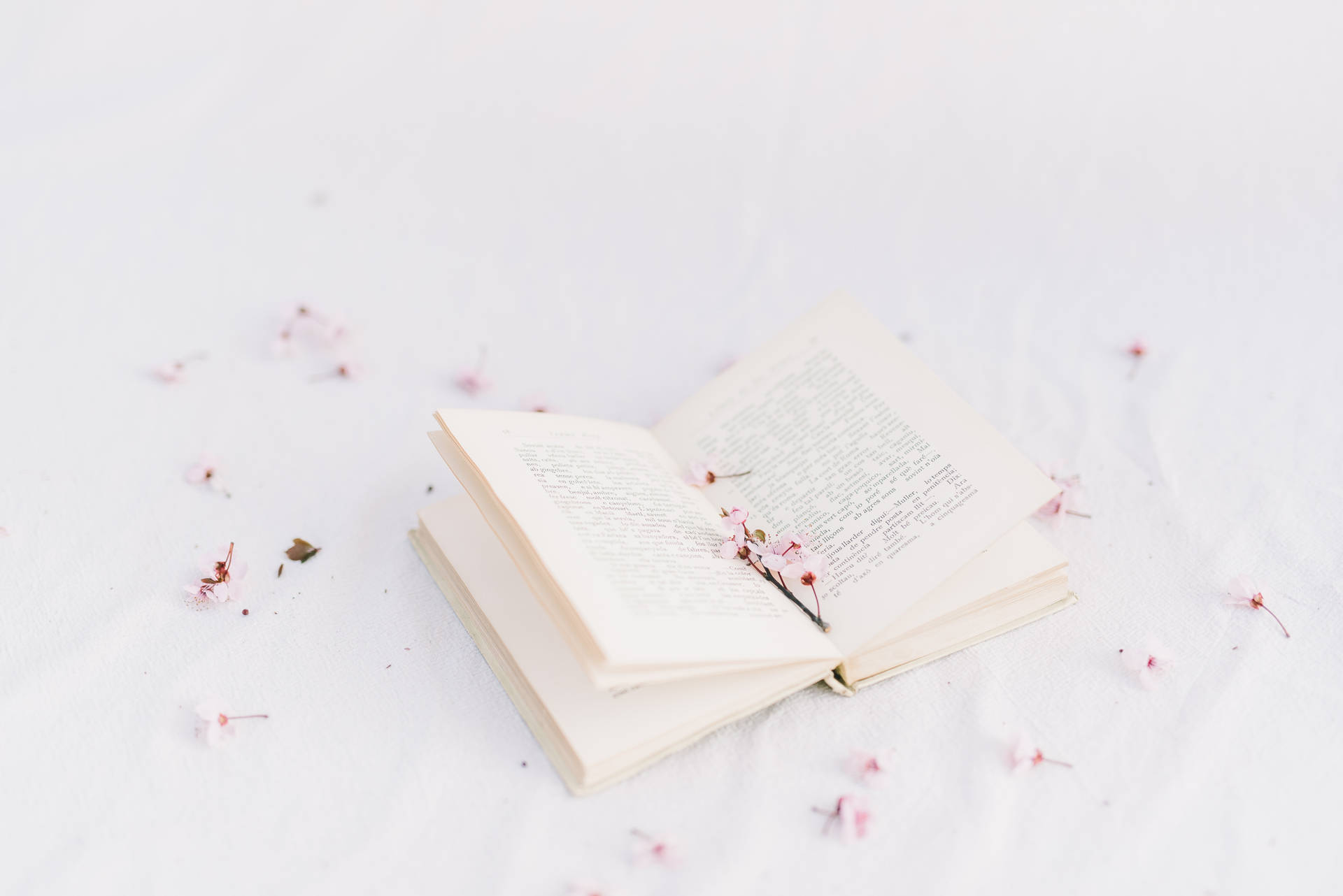 Preppy Aesthetic Book Flowers Background