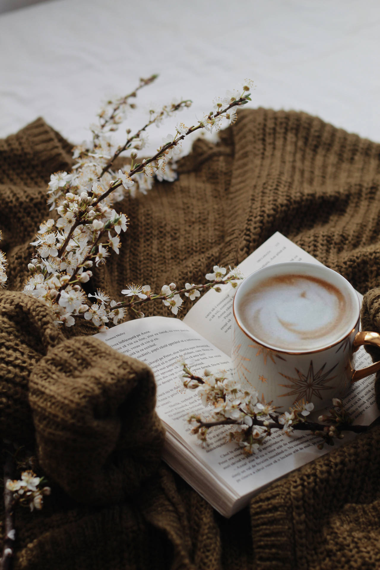 Preppy Aesthetic Coffee Sweater Background