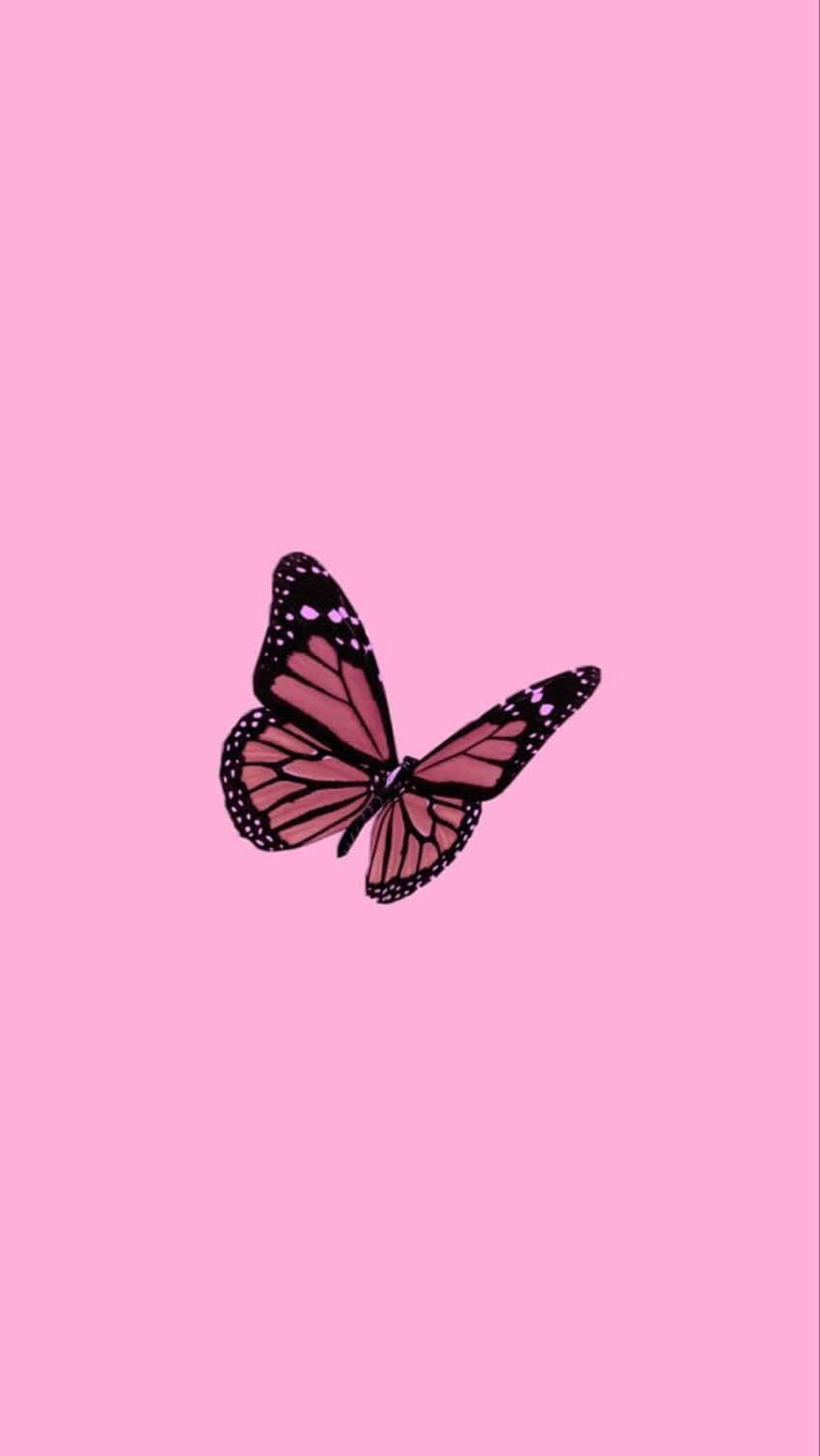 Preppy Pfp For Tiktok Pink Butterfly Background