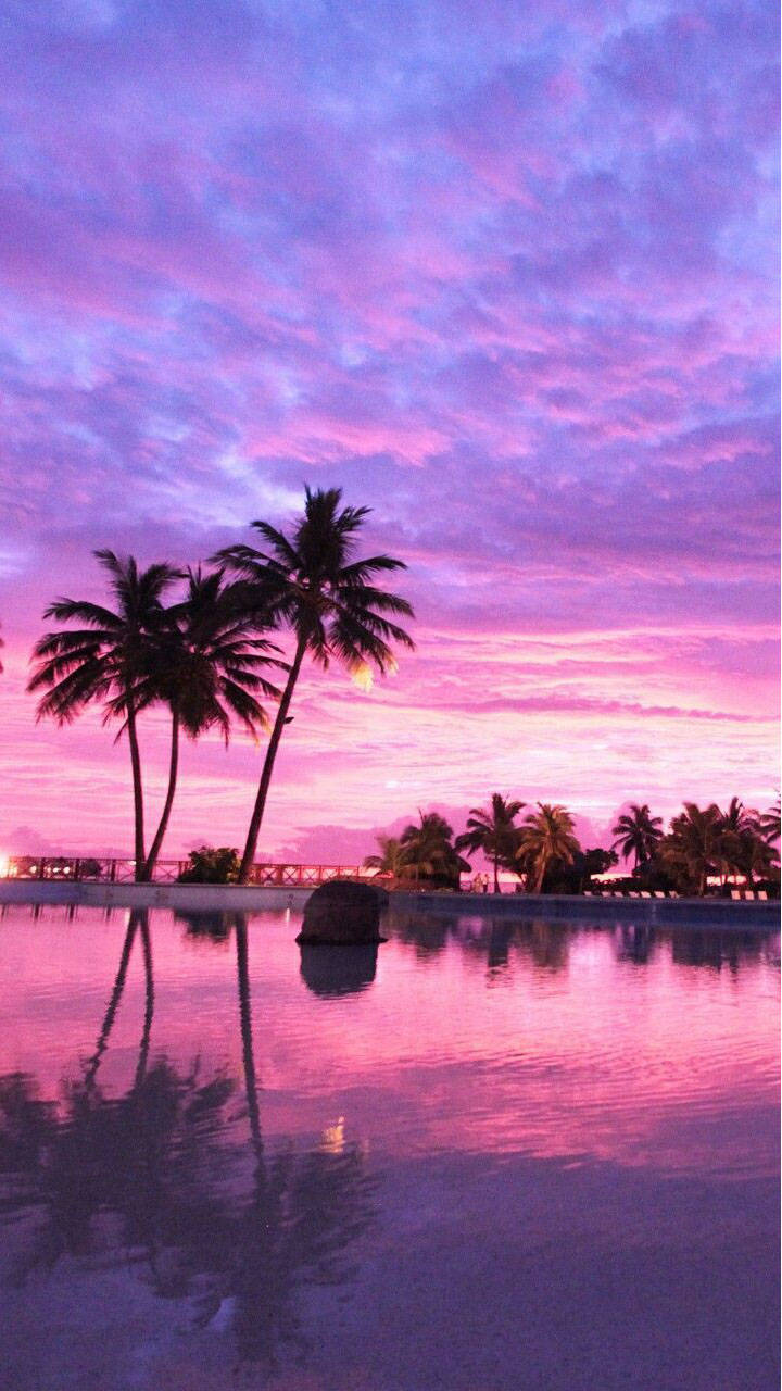 Pretty Aesthetic Pink Tropical Place Background