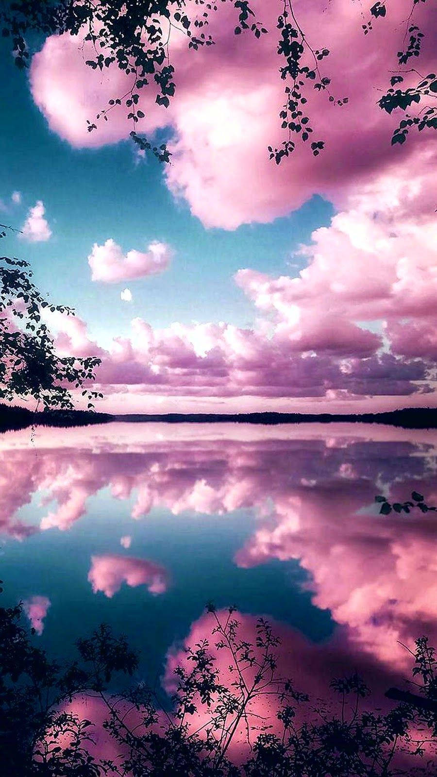 Pretty Background Phone Pink Clouds Lake