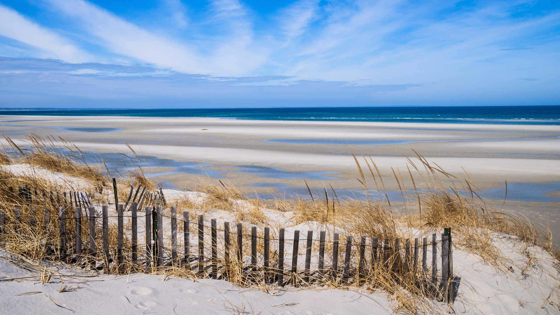 Pretty Beach New England Summer Background