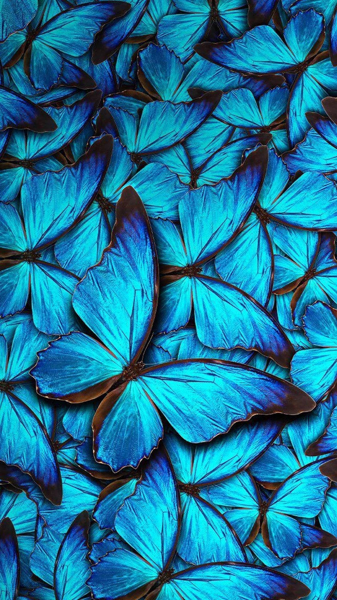 Pretty Blue Butterflies Aesthetic Background