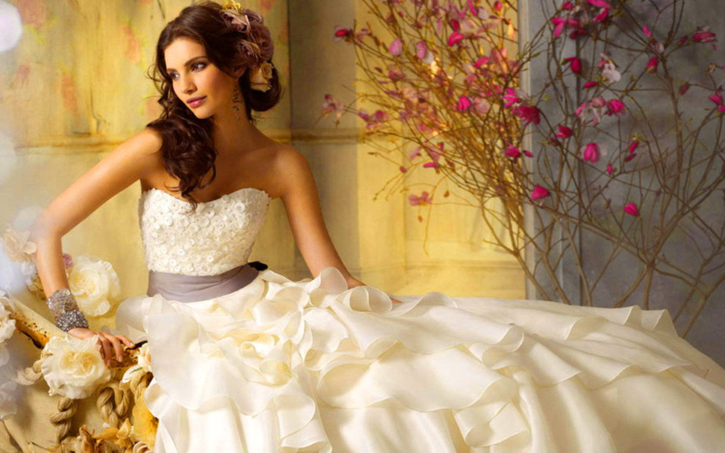 Pretty Bride In Wedding Dress Background