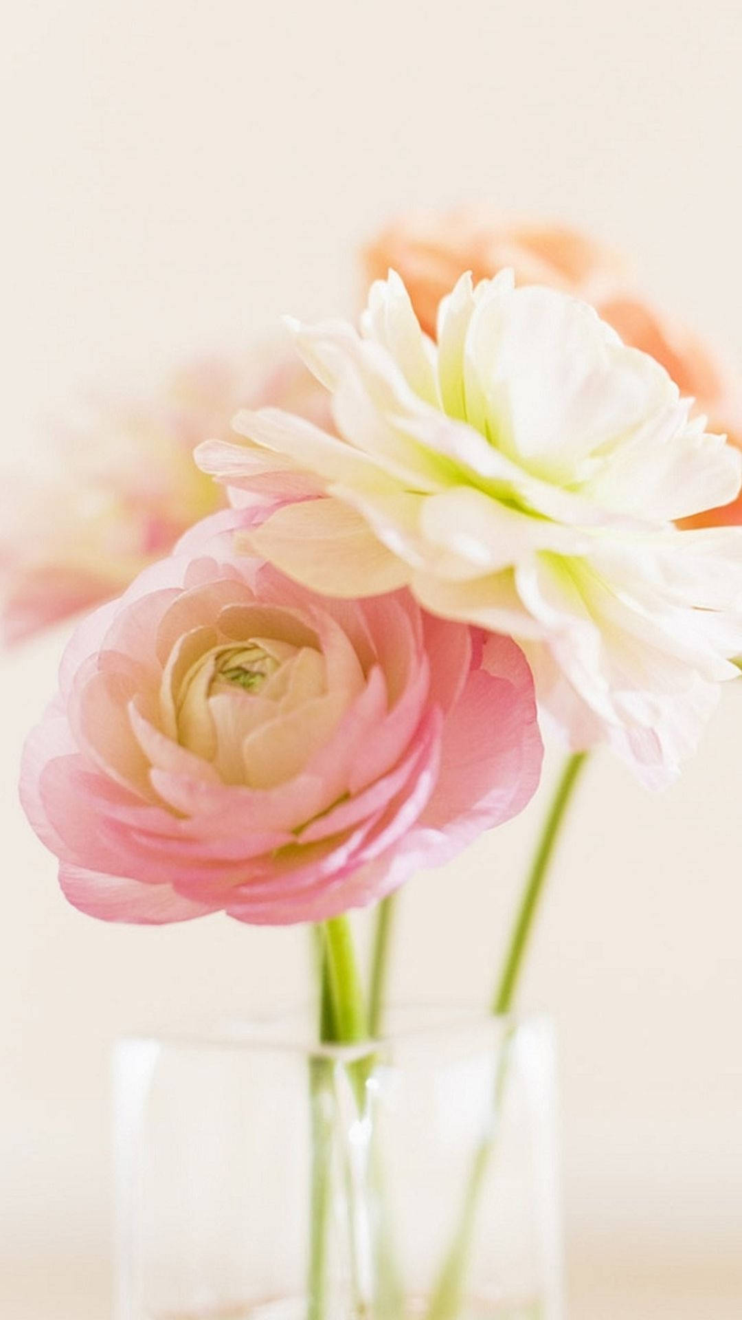 Pretty Flowers In Clear Flower Vase Background