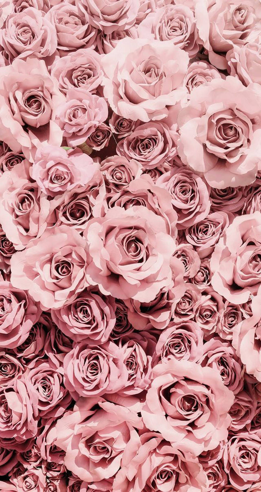 Pretty Flowers Rose Gold Iphone Background