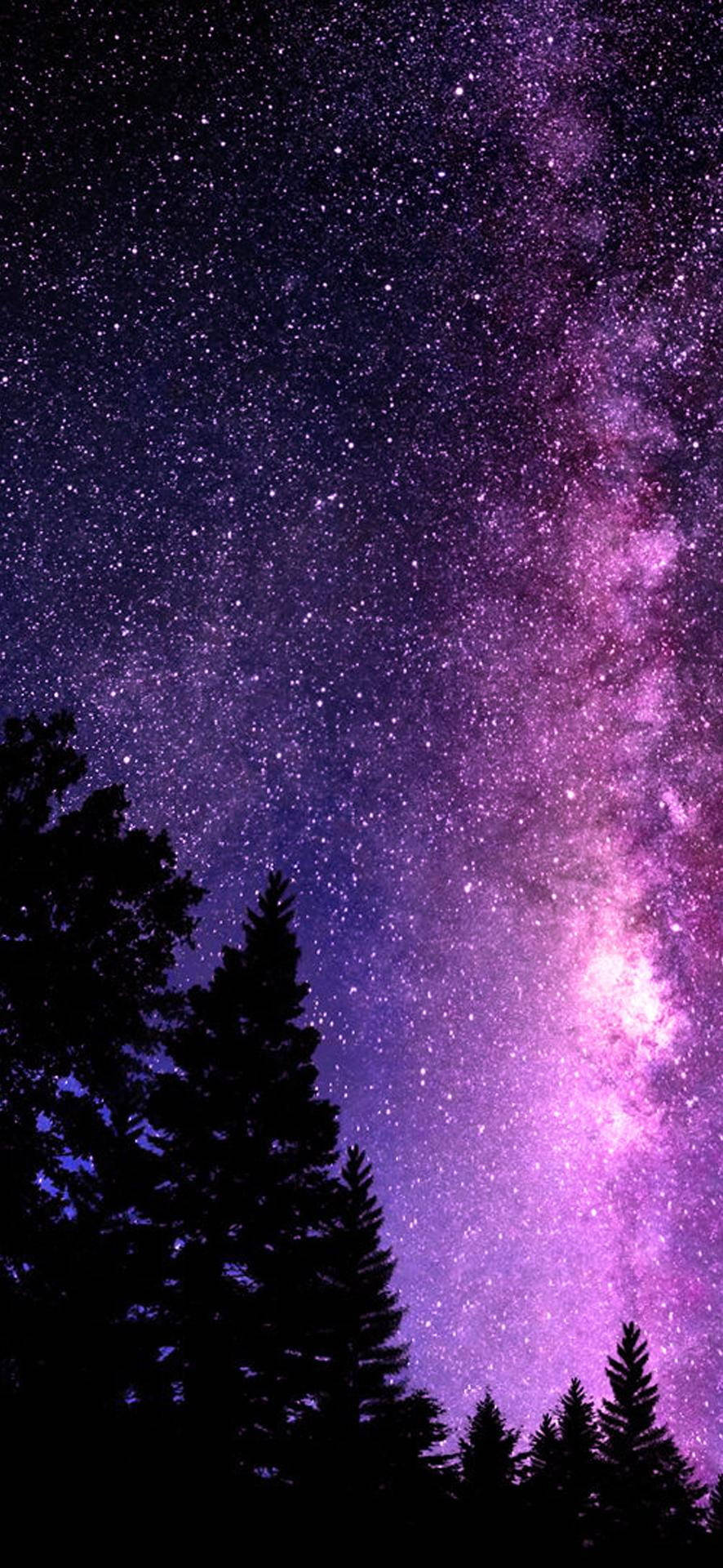 Pretty Galaxy Tree Tops Background