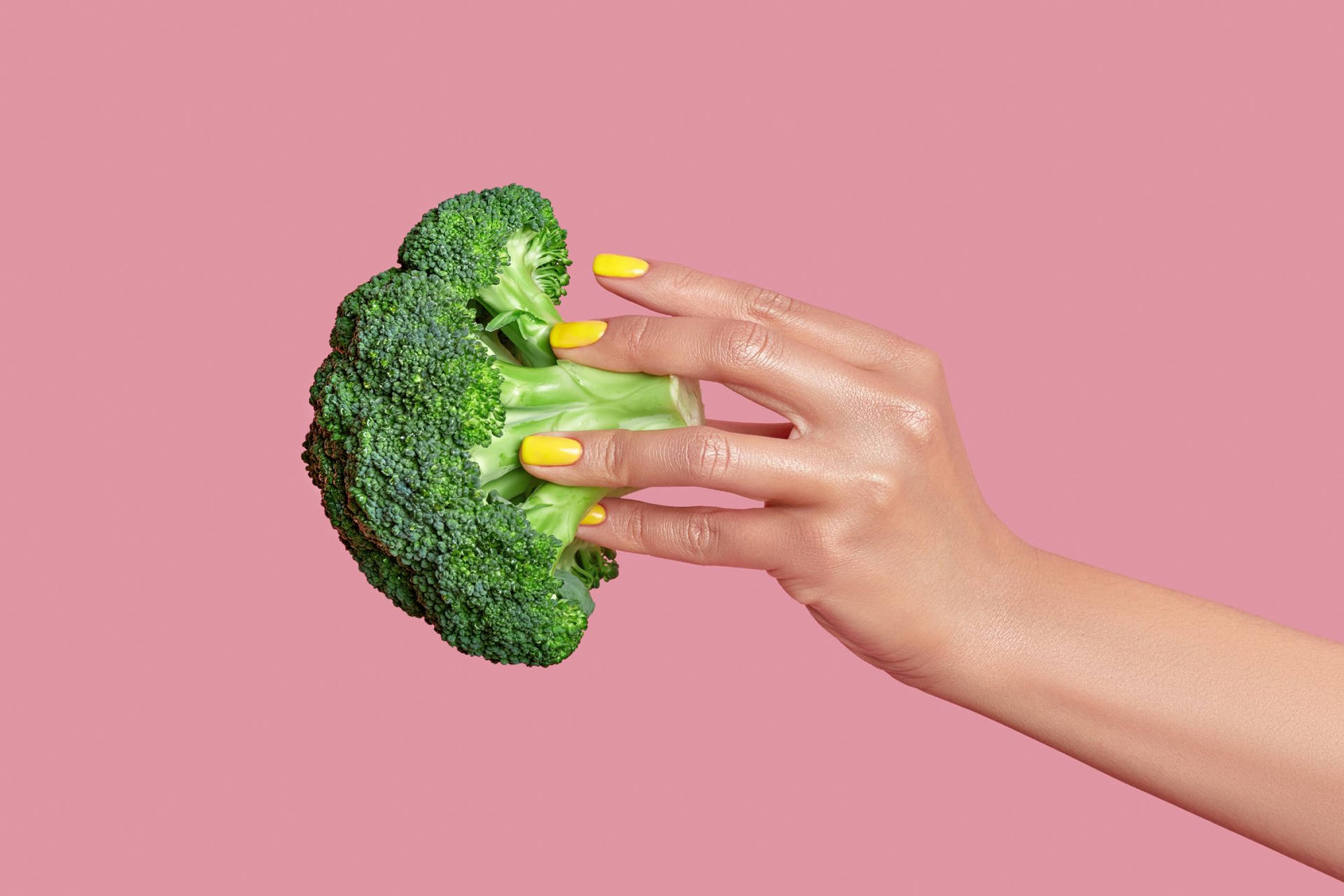 Pretty Hand Holds Green Broccoli Background