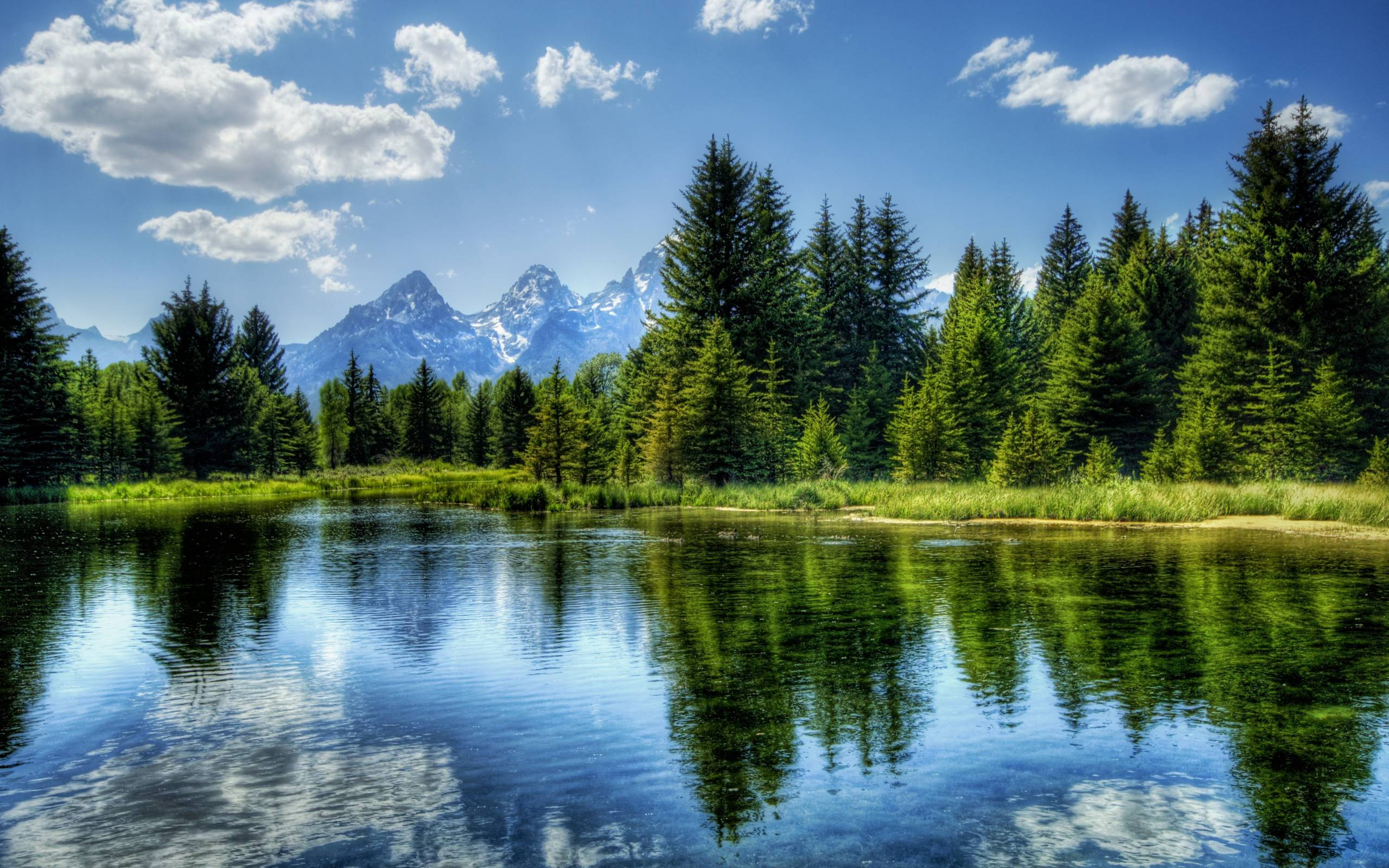 Pretty Landscape Todd Lake Usa Background