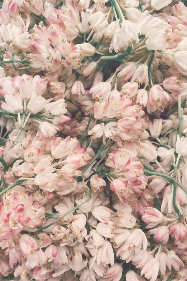 Pretty Muted Vintage Flower Aesthetic Background