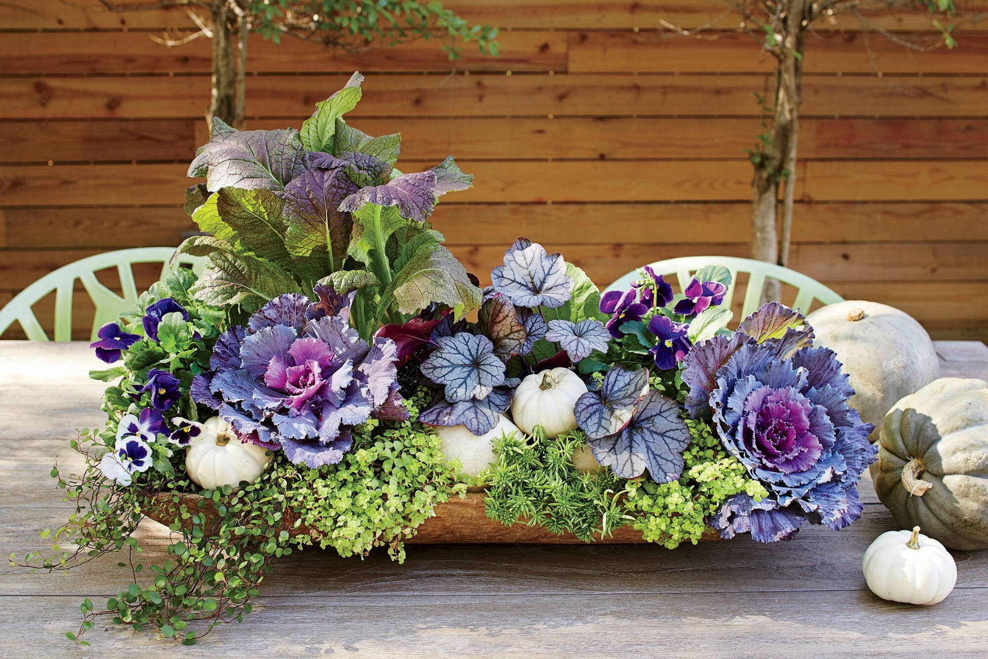 Pretty Pansy Table Garden