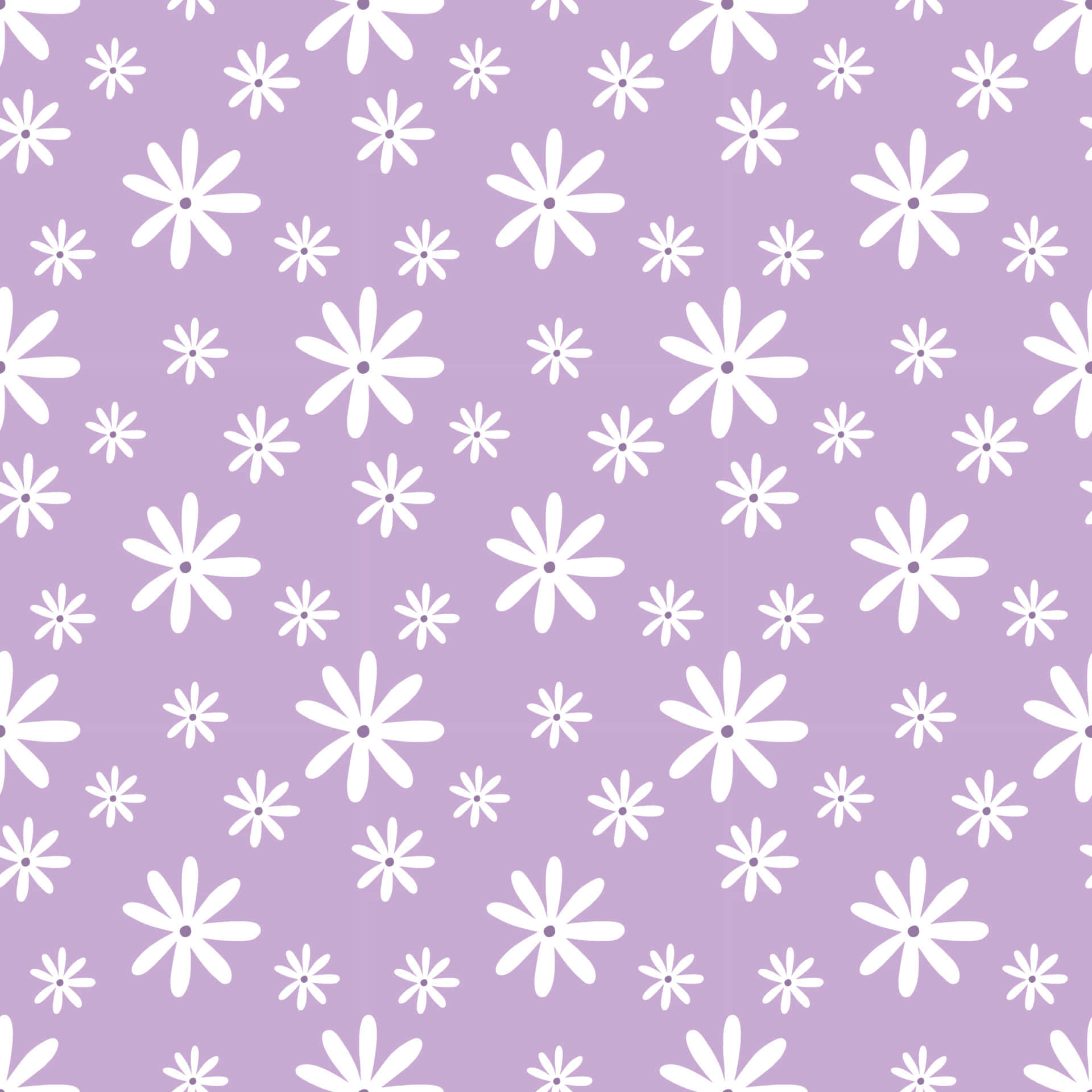 Pretty Purple Surface Covered With Daisies Background