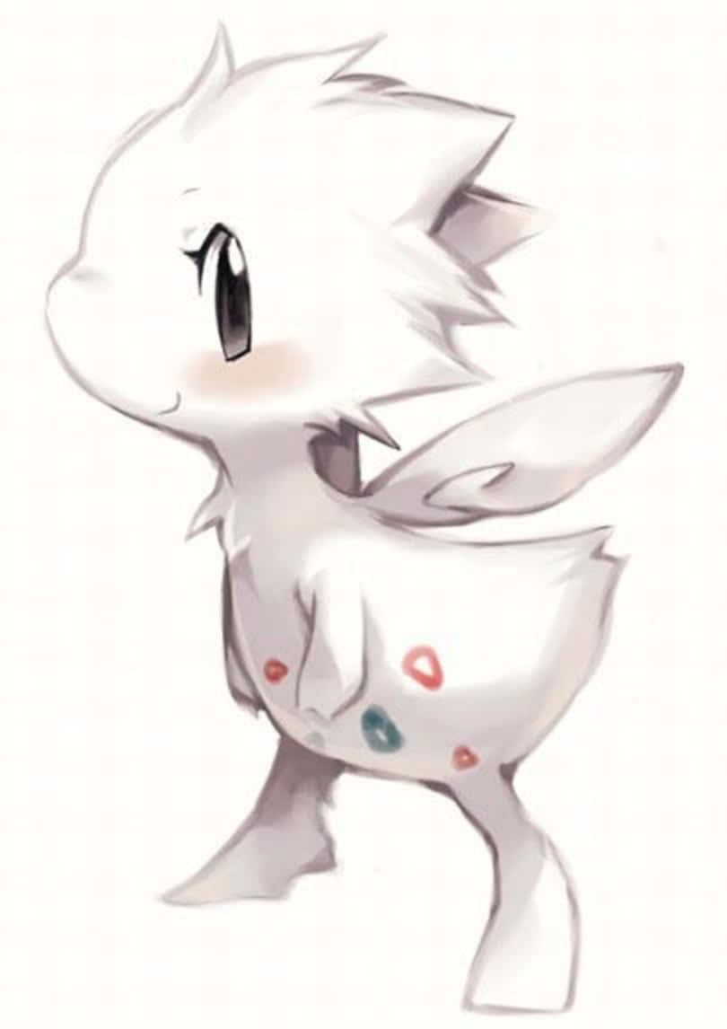 Pretty Togetic Background
