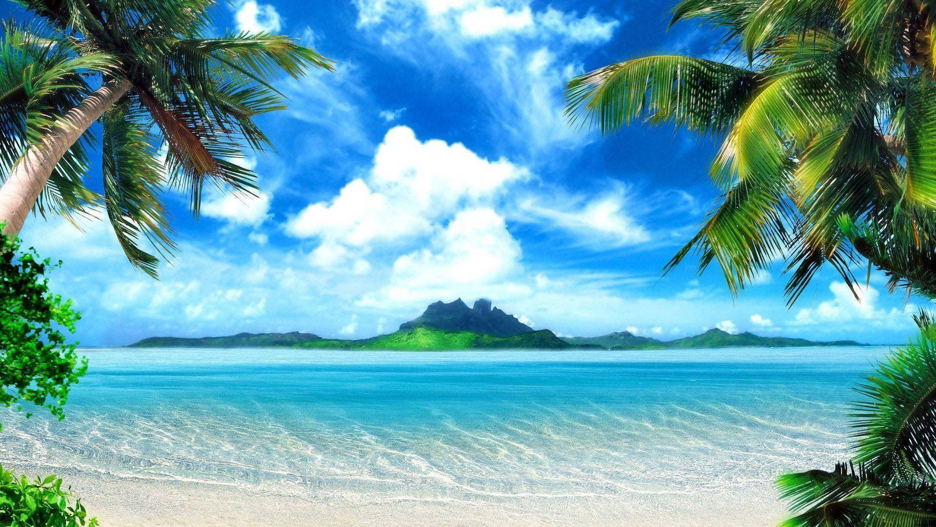 Pretty Tropical Beach Area Background