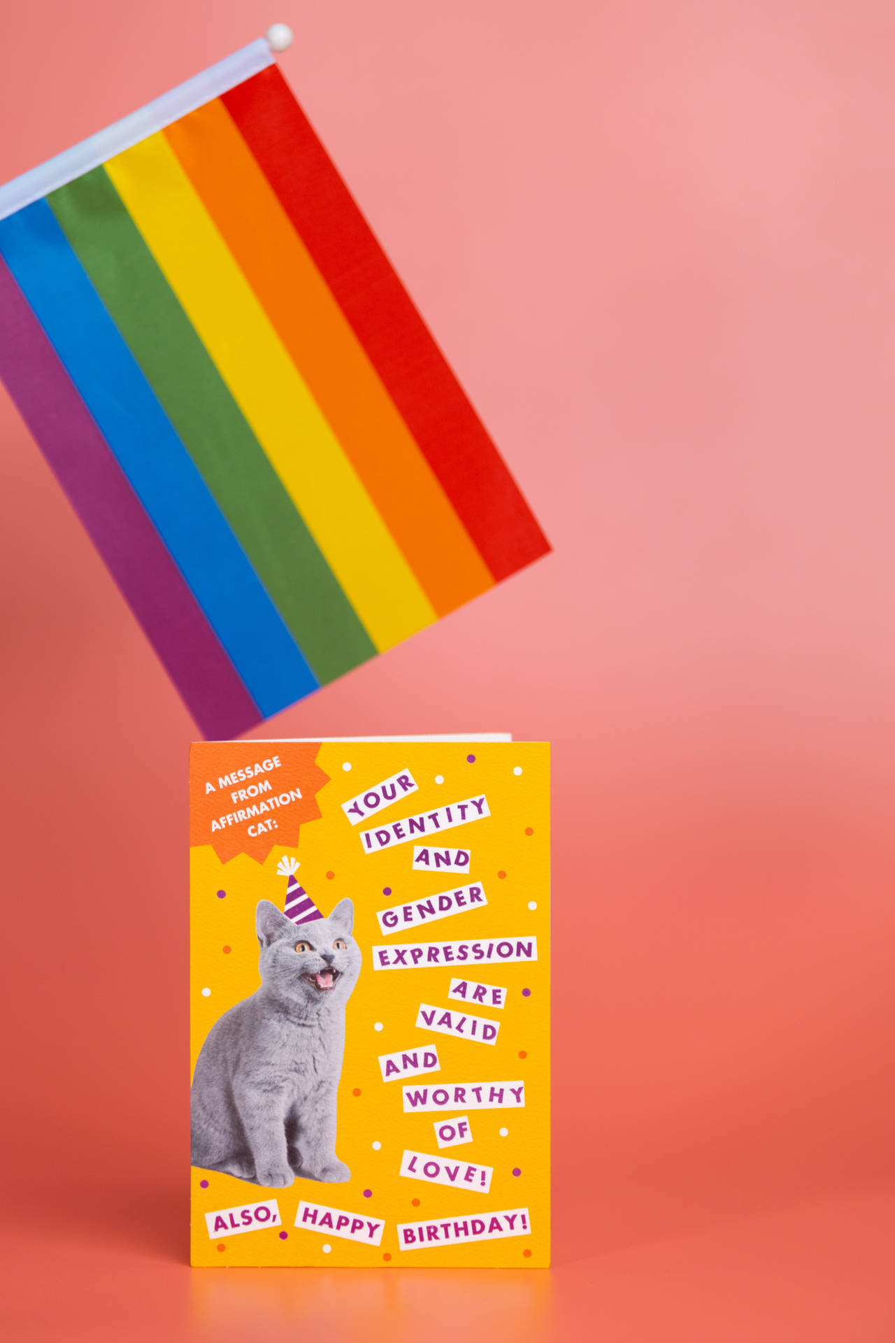 Pride Flag Cat Card
