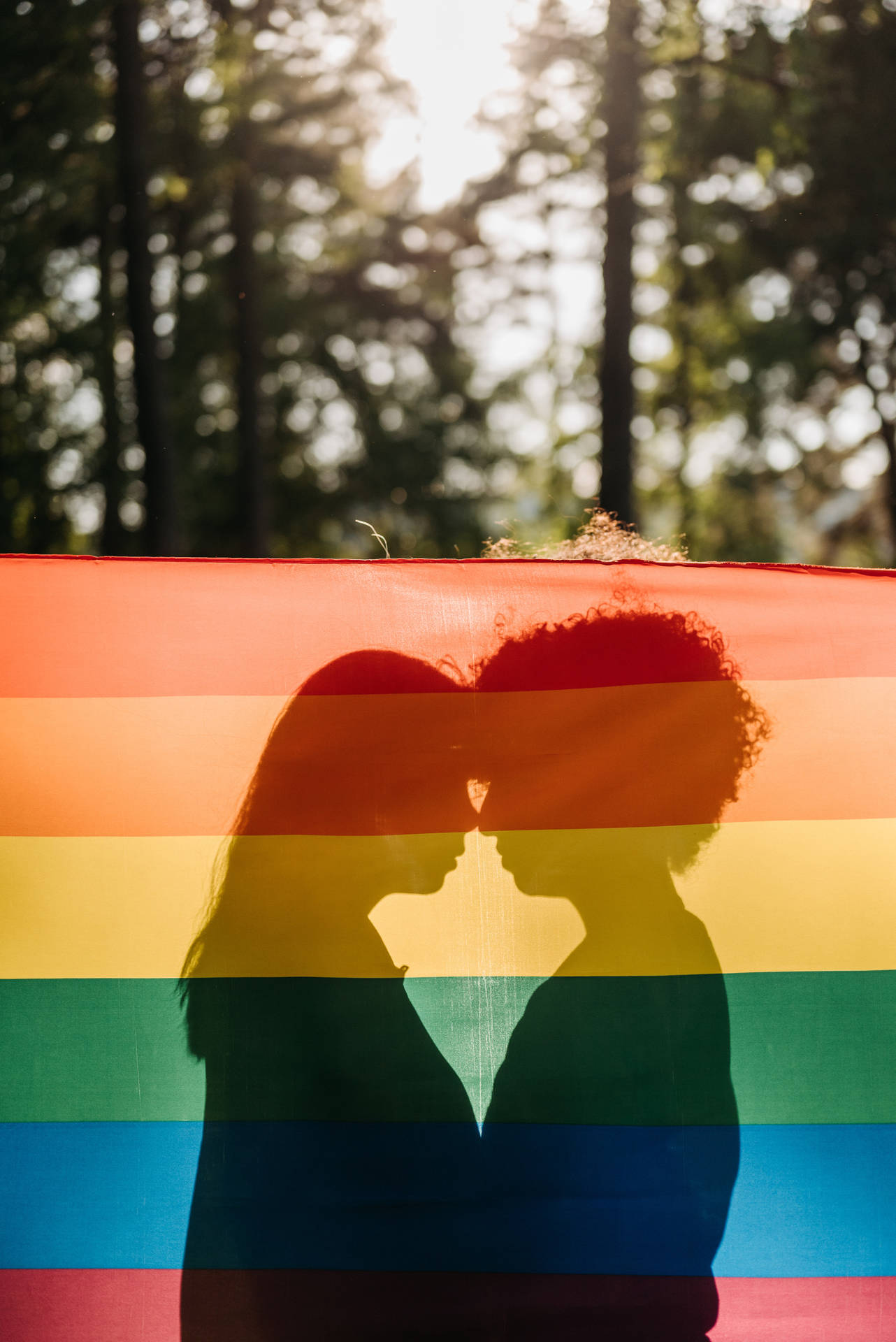 Pride Flag Couple Silhouette Background