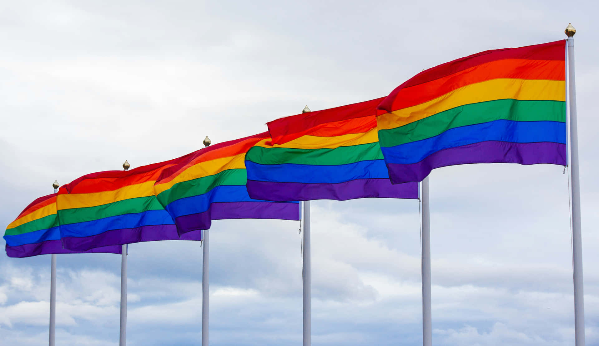 Pride Flags Waving Against Sky Background