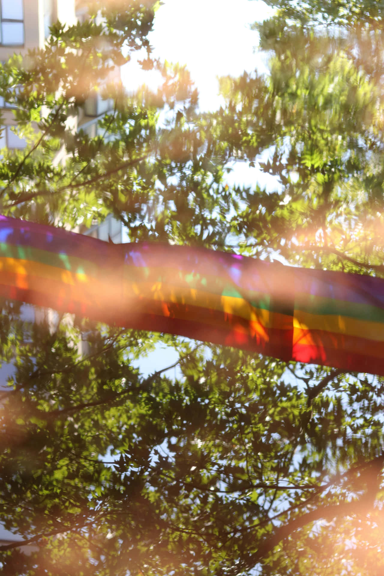 Pride Month_ Sunlit Rainbow Flag Background