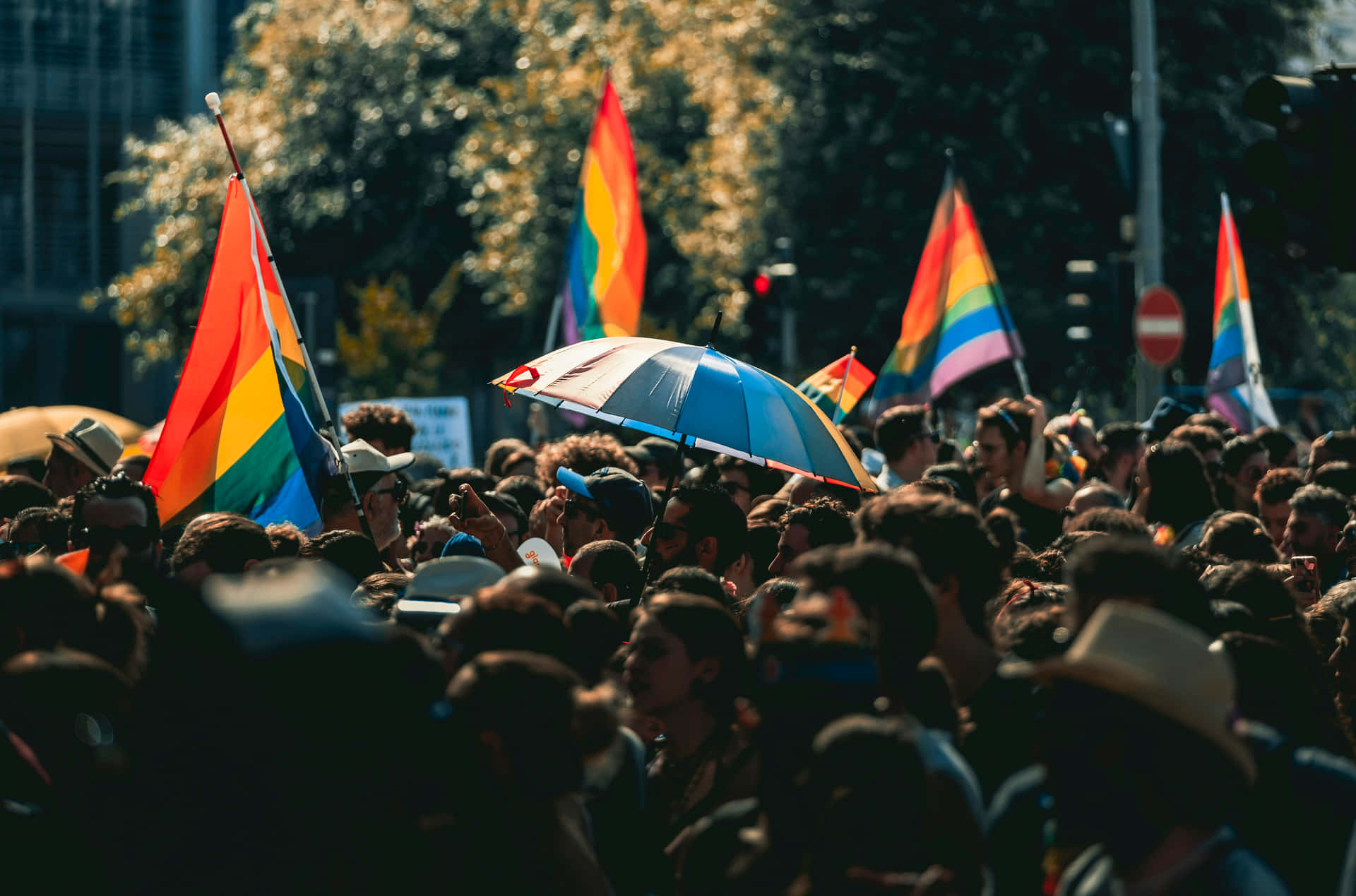 Pride Parade Celebration.jpg Background