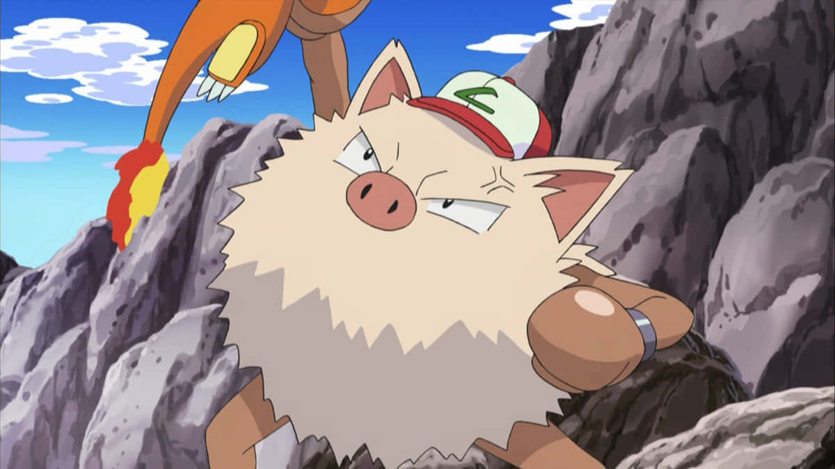 Primeape Vs Charmander Pokemon Battle Background