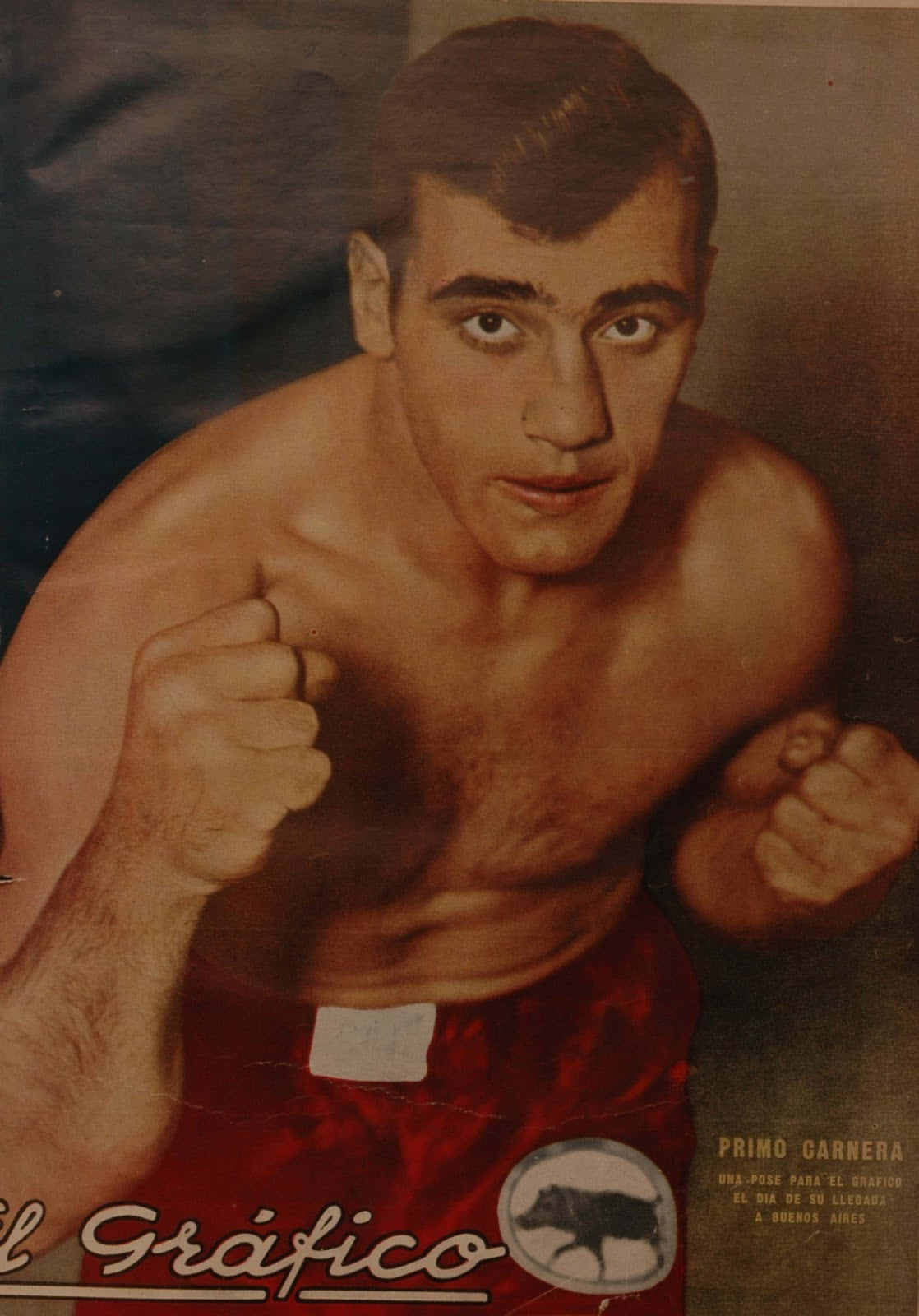Primo Carnera, Celebrated Italian Boxer In Red Shorts
