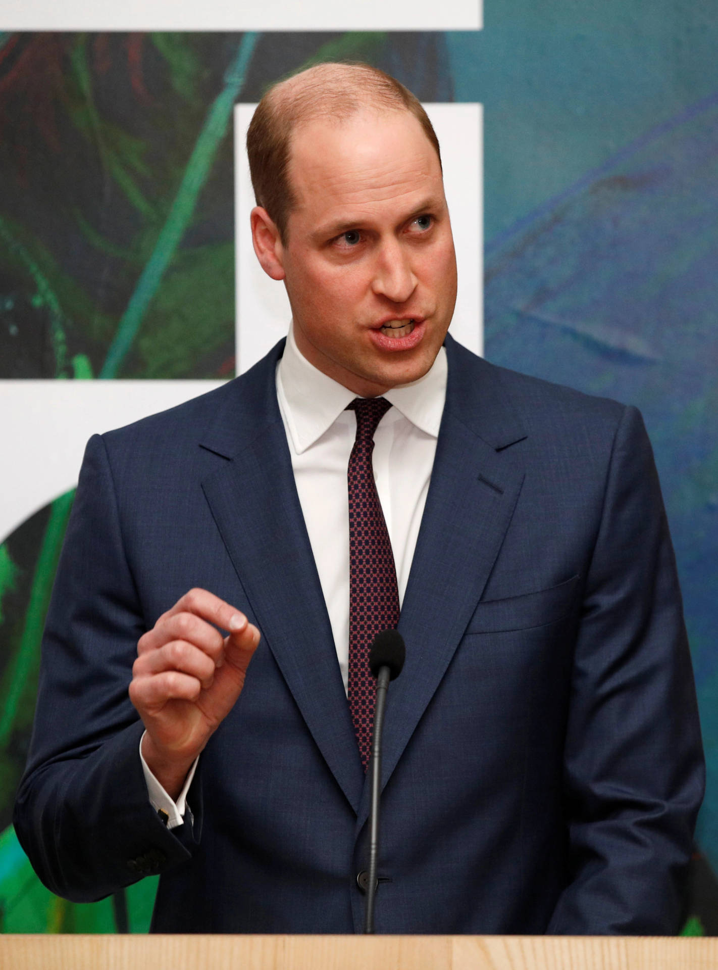 Prince William Addressing An Audience.
