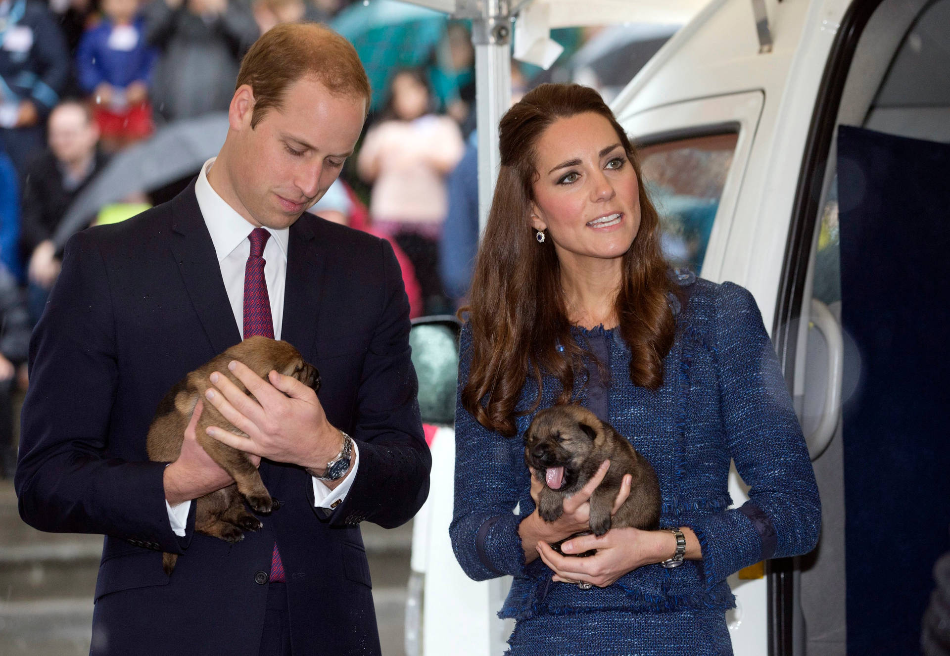 Prince William And Kate Holding Puppies
