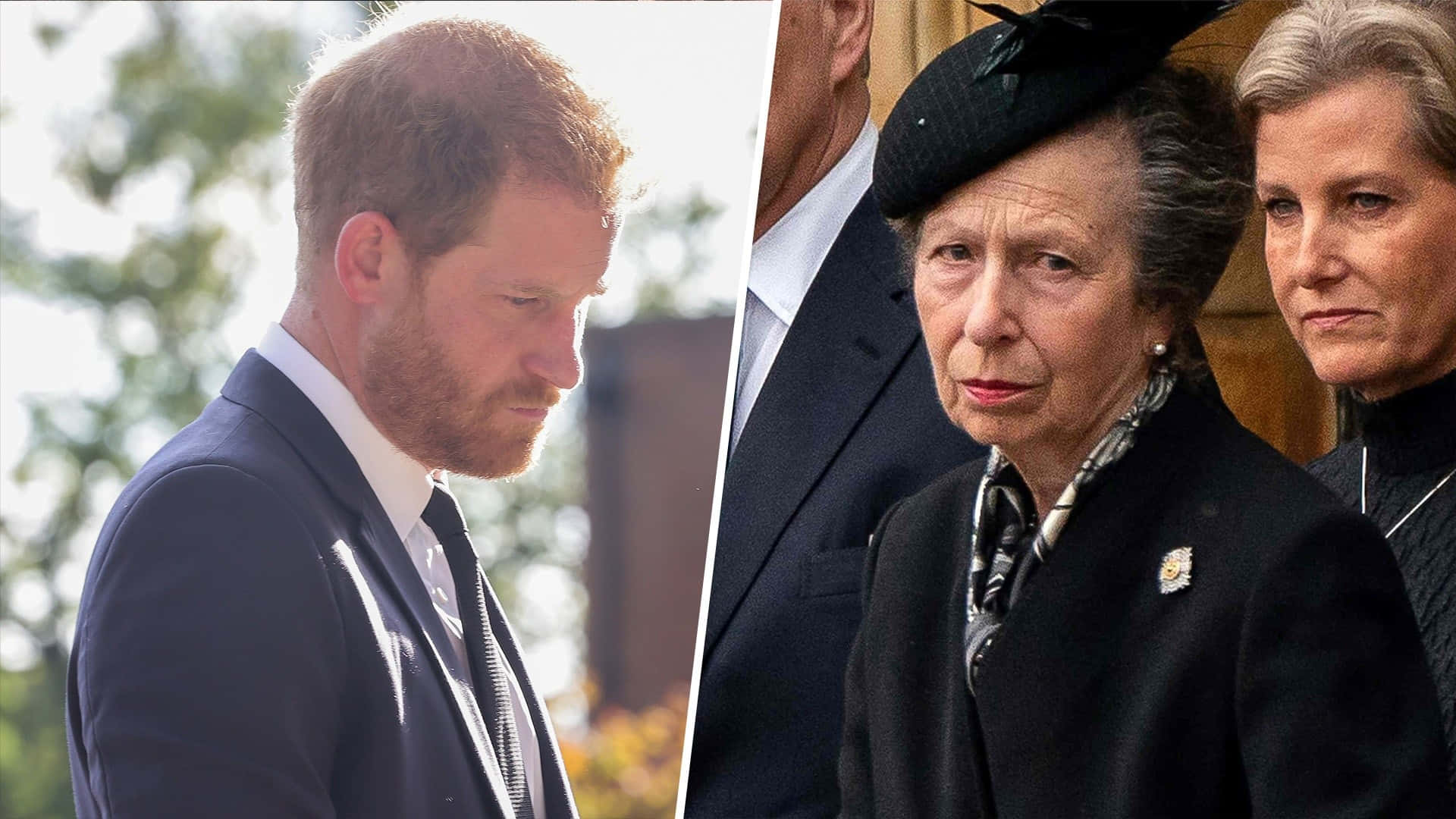 Princess Anne Conversing With Prince Harry Background