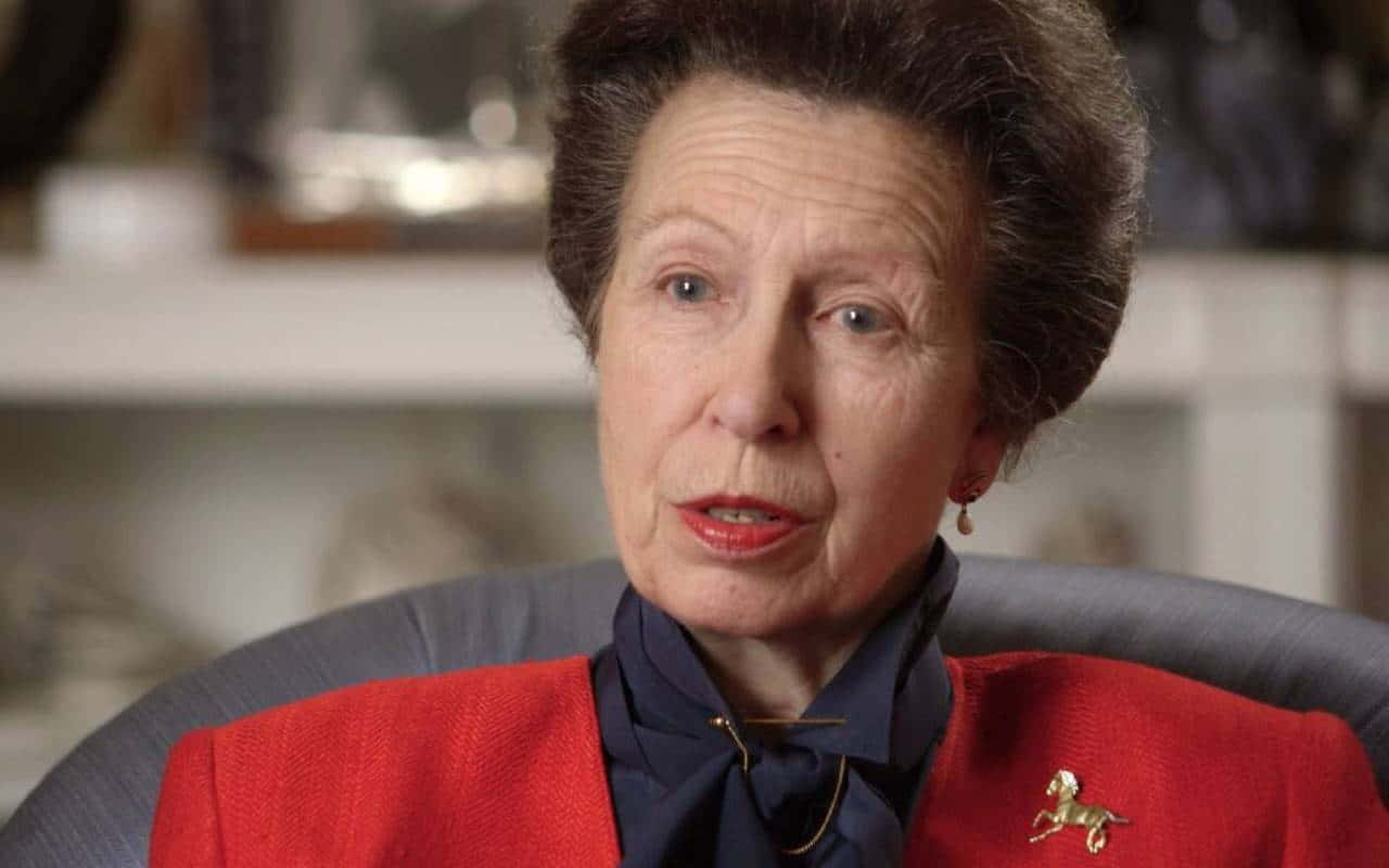 Princess Anne In An Interview Background