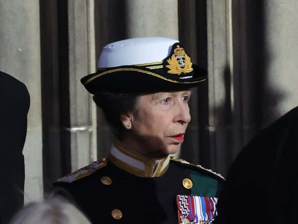 Princess Anne In Military Uniform
