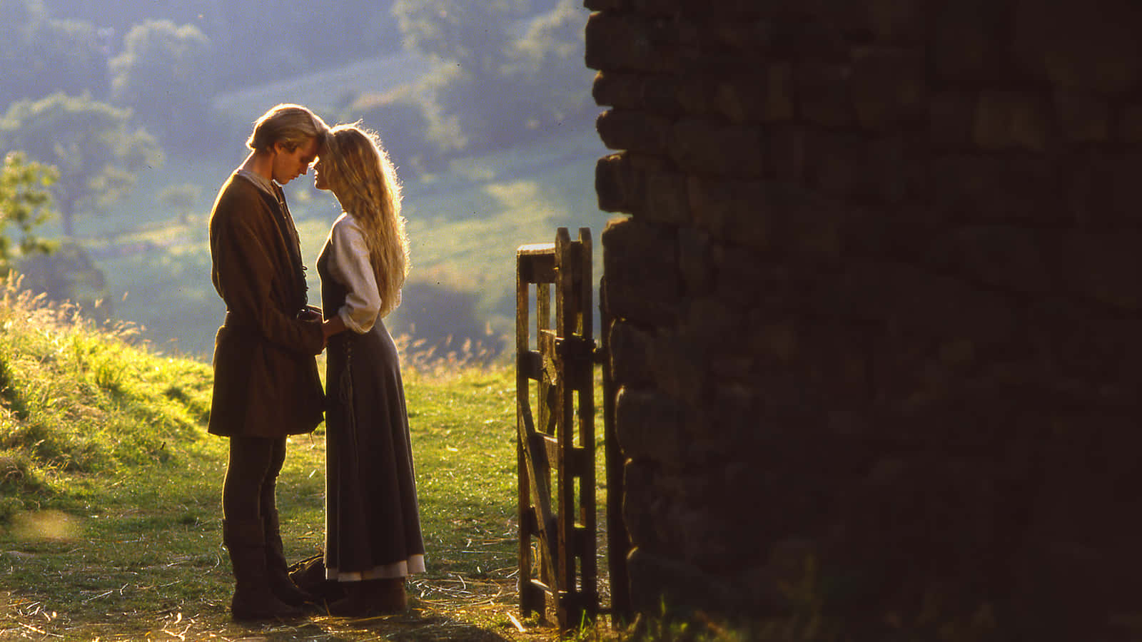 Princess Bride Romantic Scene Background