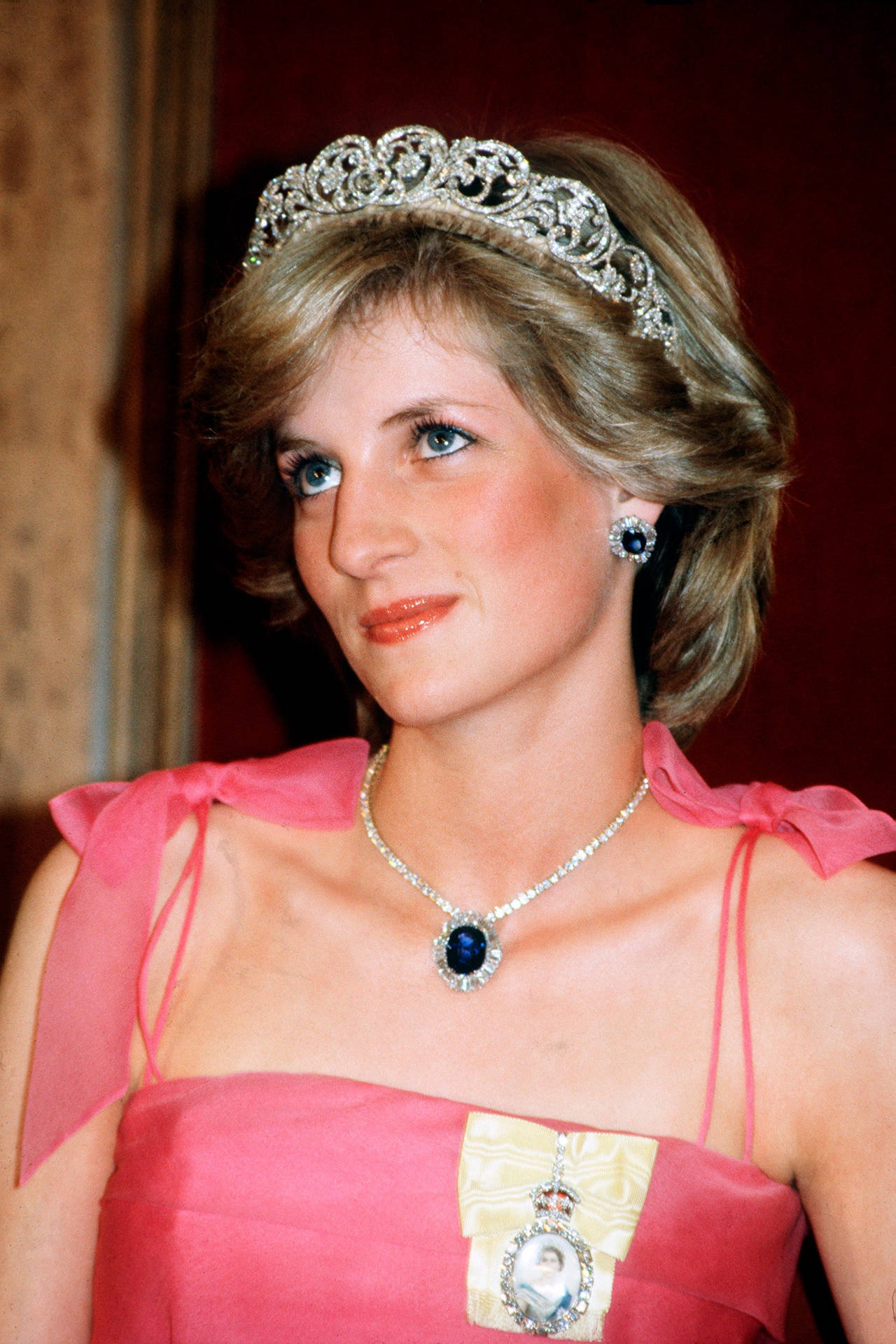 Princess Diana Pretty In Pink Background