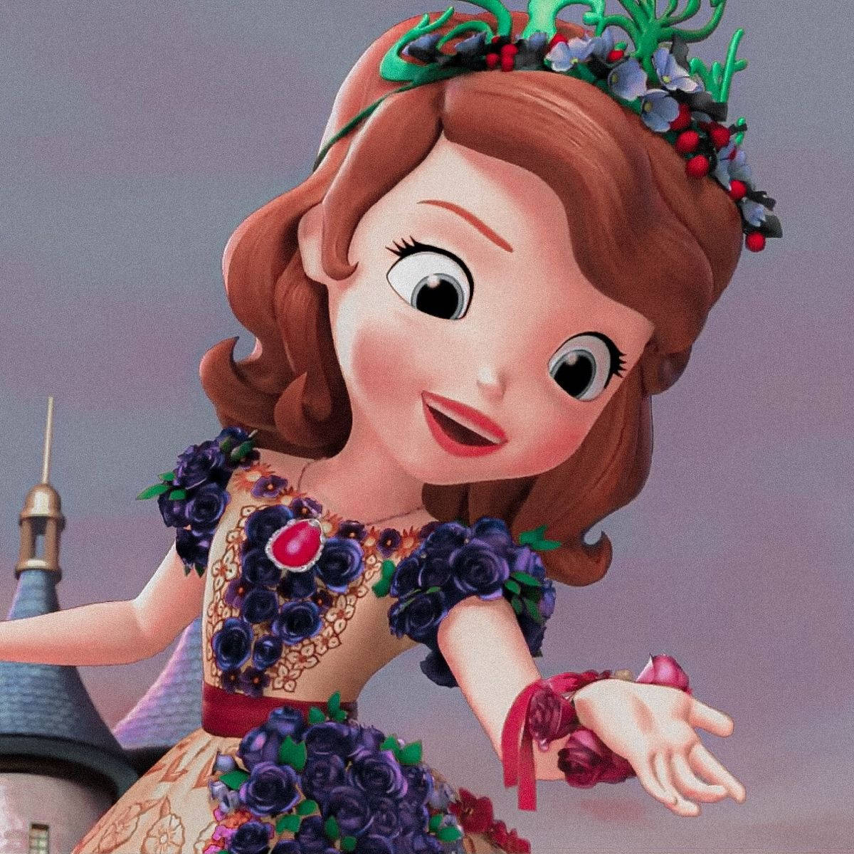 Princess Sofia In Fairy Dress