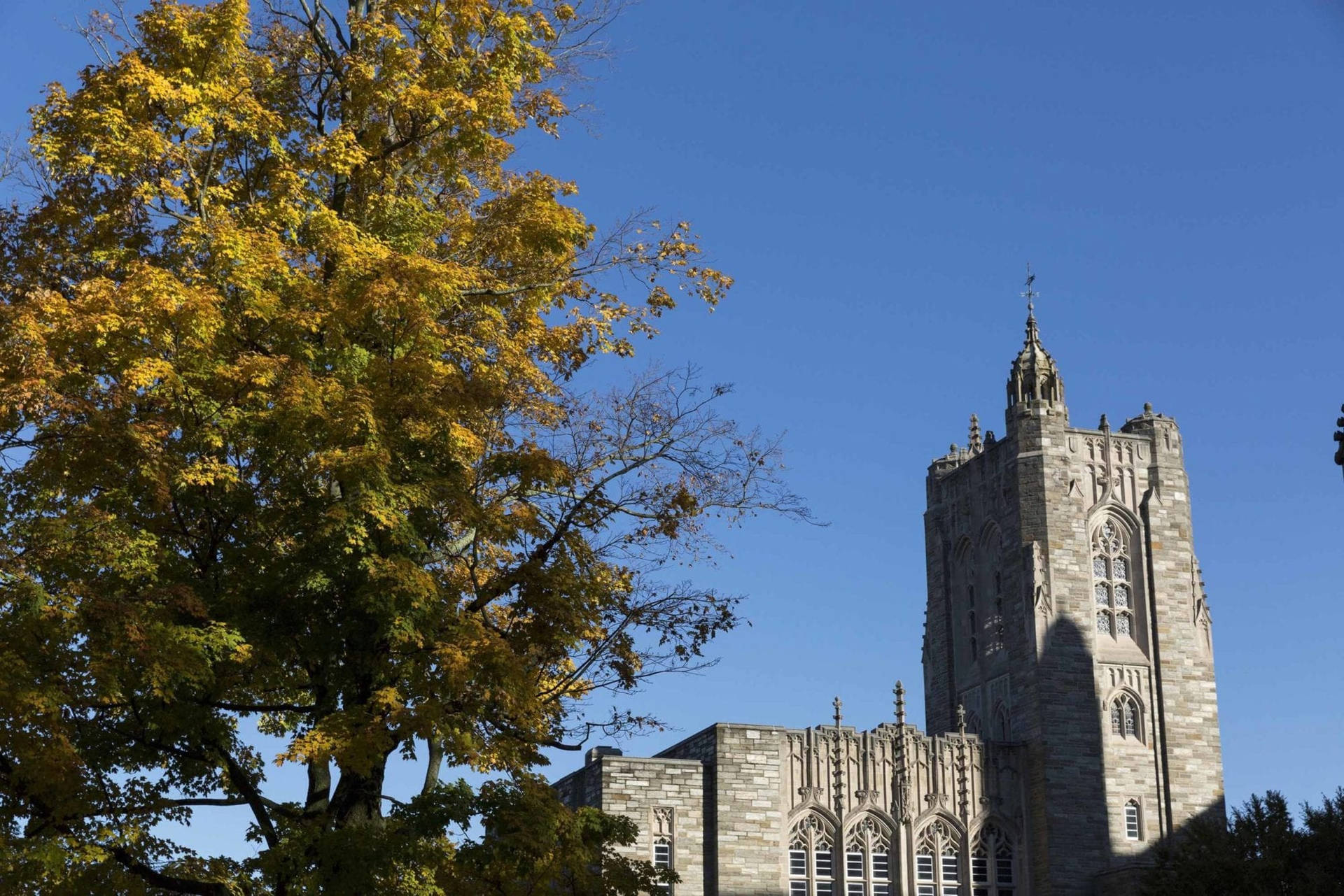 Princeton University Firestone Library