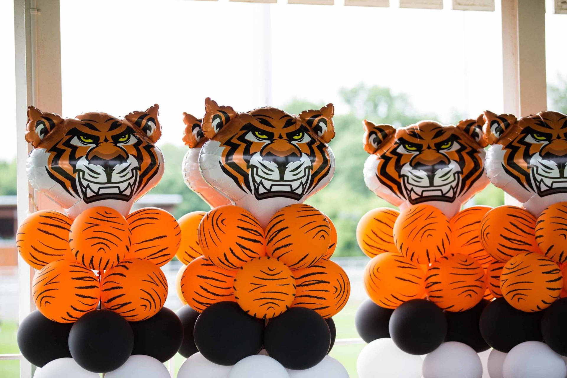 Princeton University Tiger Balloon Background