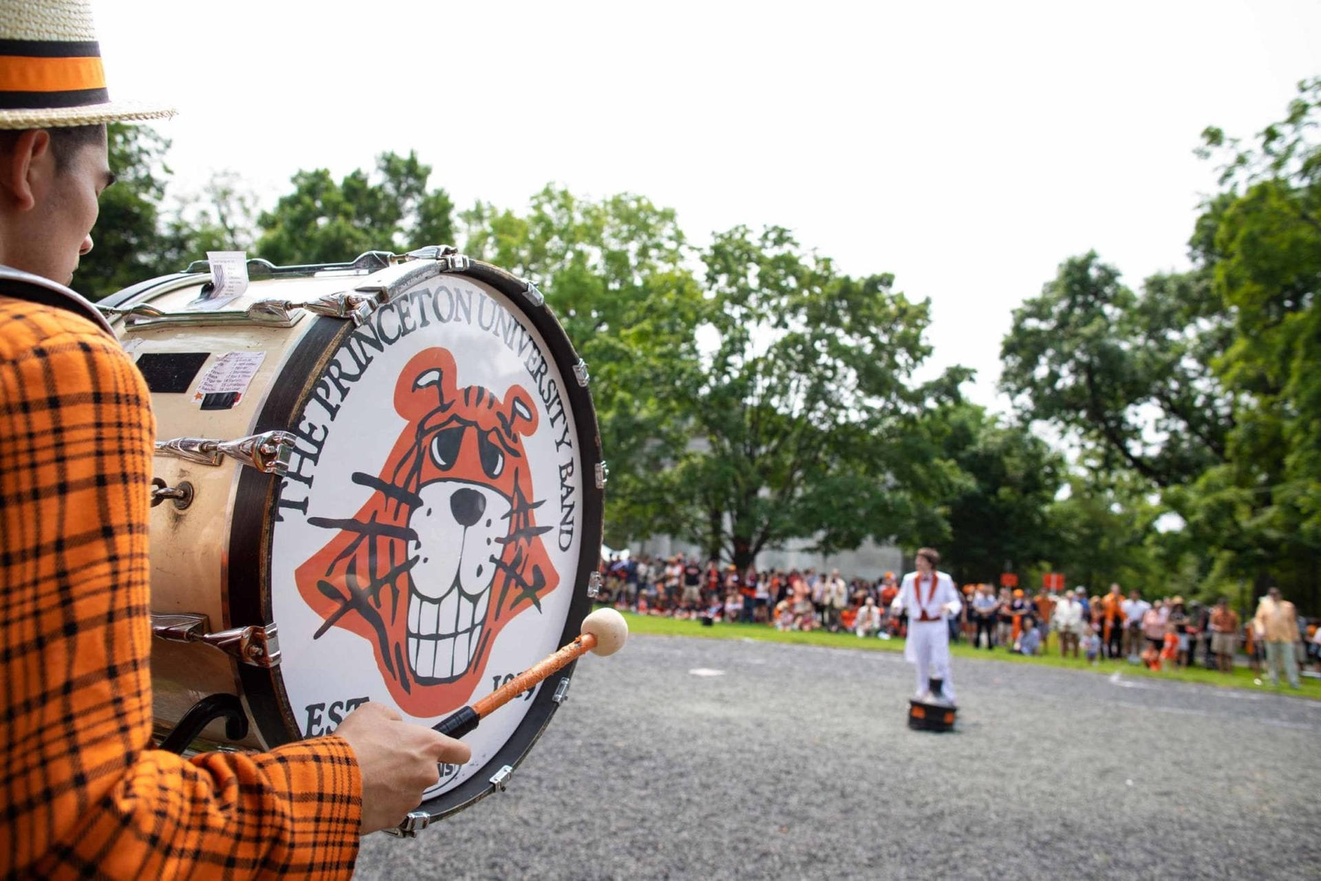 Princeton University Tiger Band Background