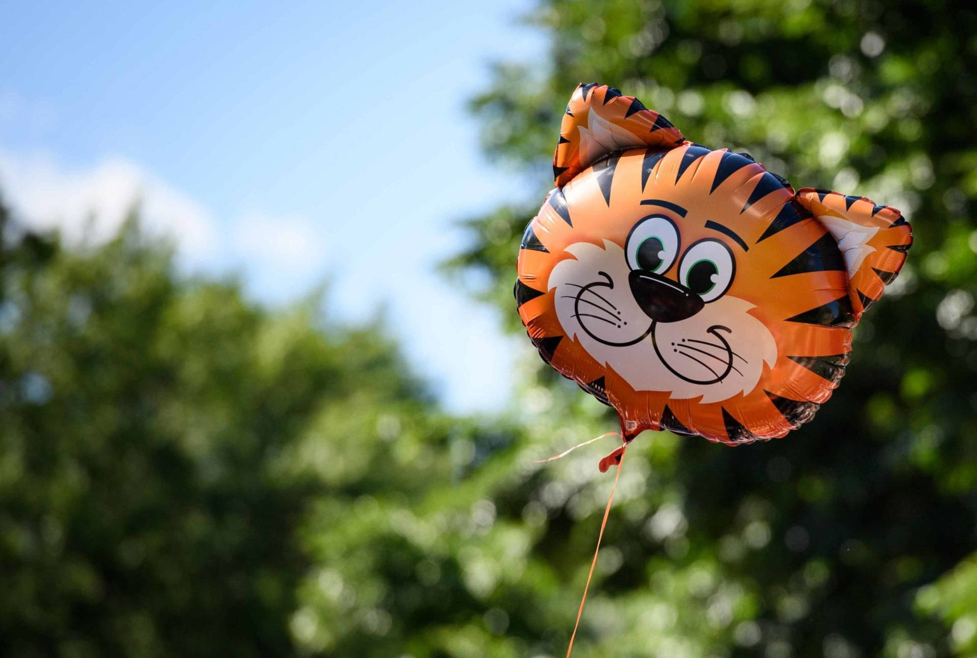 Princeton University Tiger Head Balloon Background