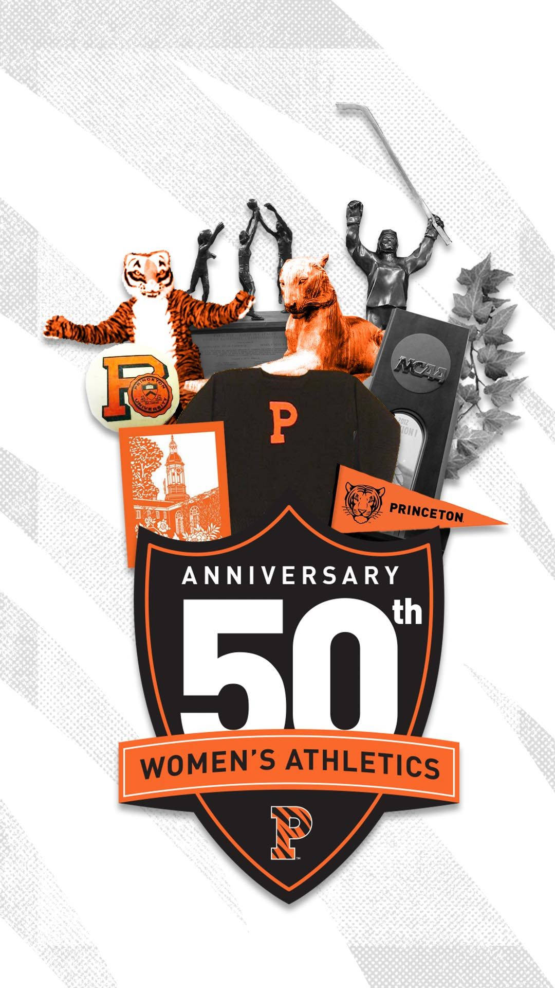 Princeton University Women's Basketball Team Background