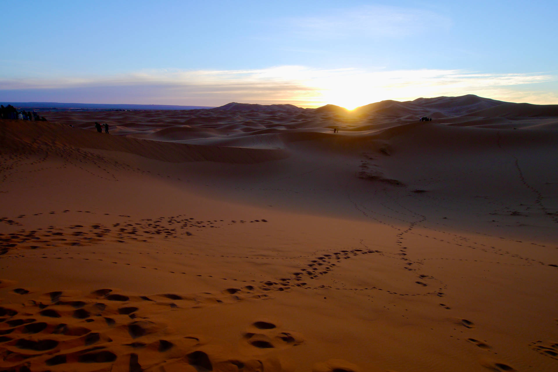 Prints On Sahara Desert Sand Background