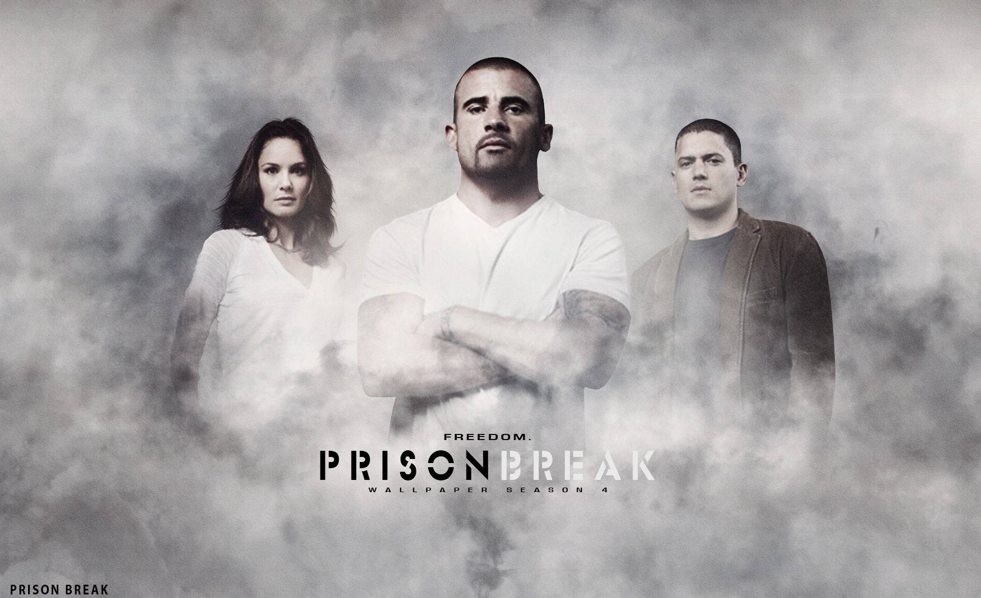 Prison Break Season 4 Cover Background