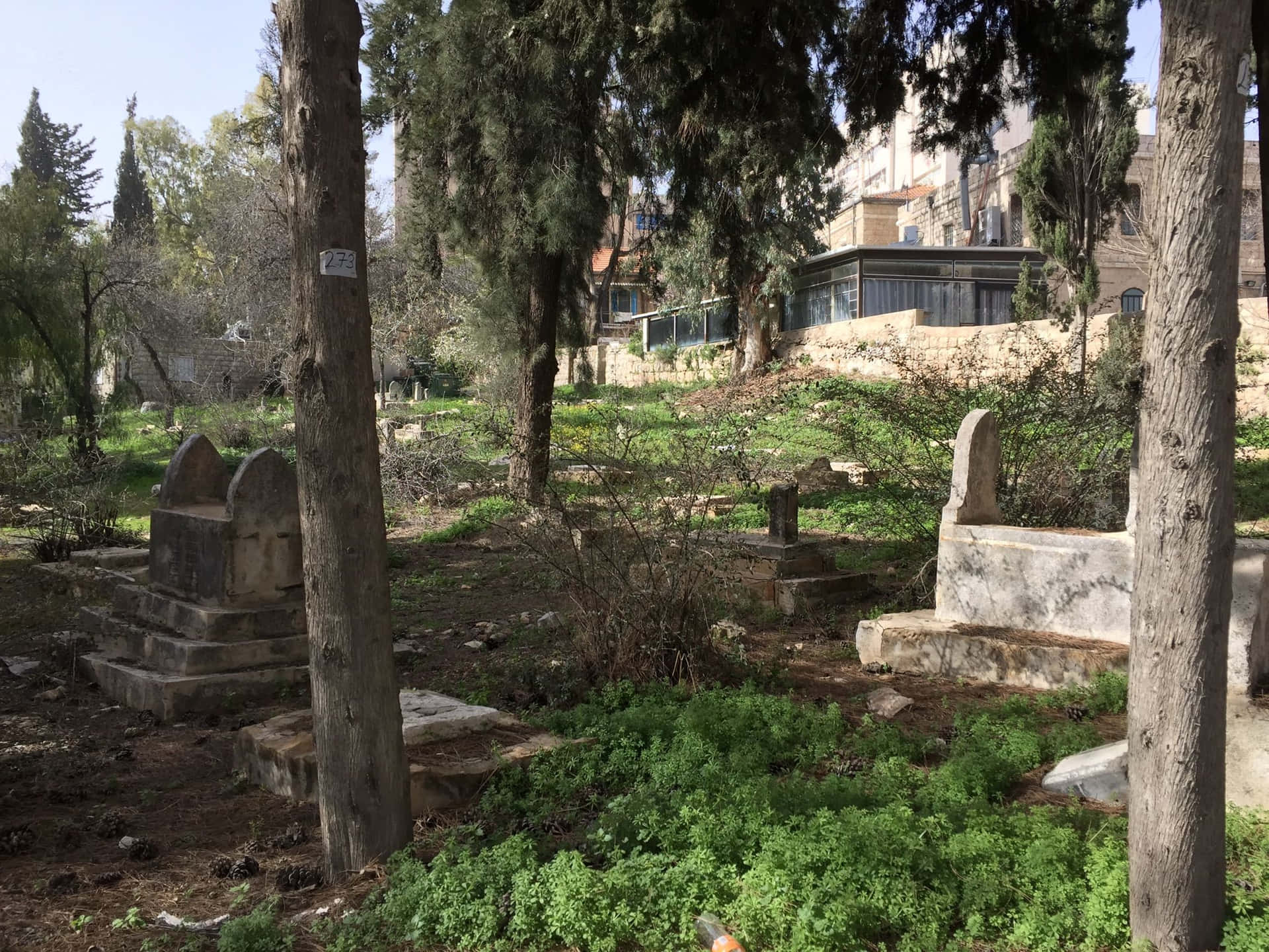 Pristine Beauty Of Independence Park